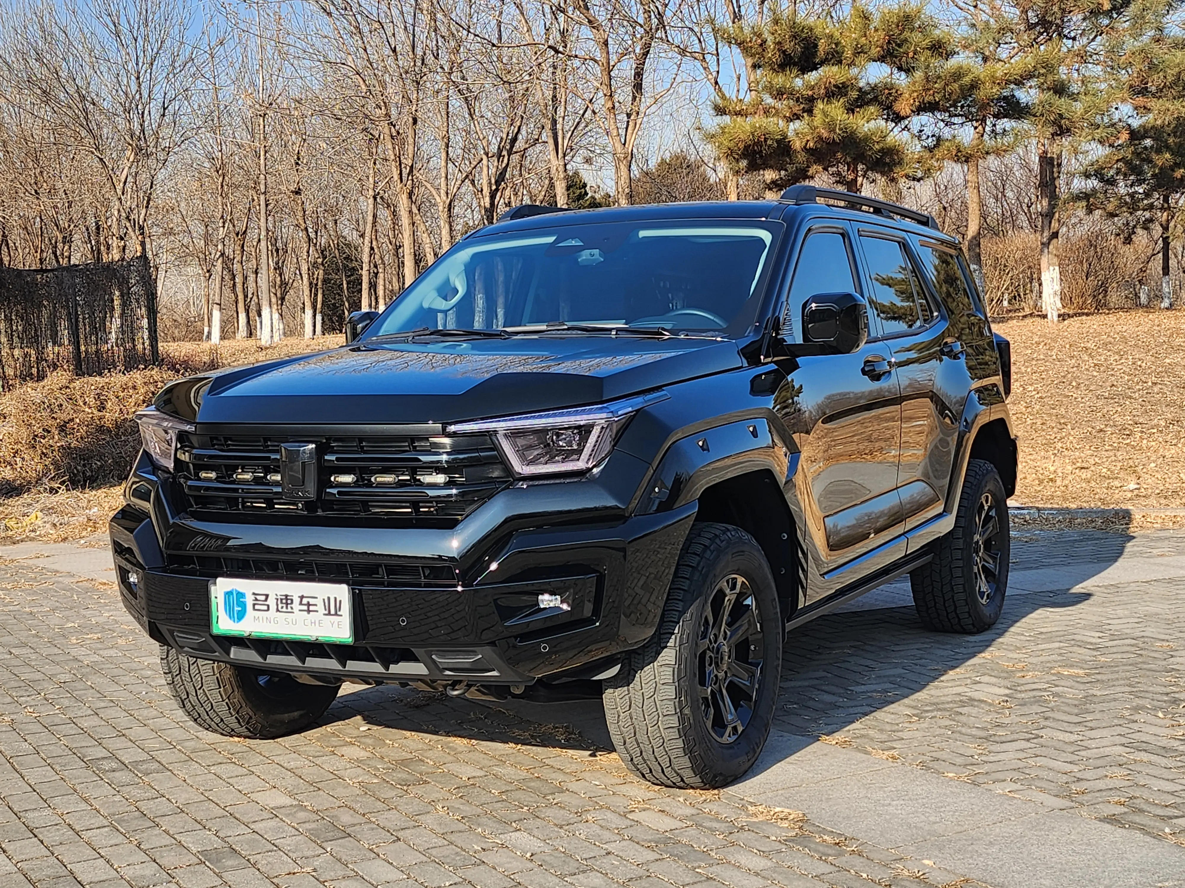 Tank 400 Hi4-T  из Китая