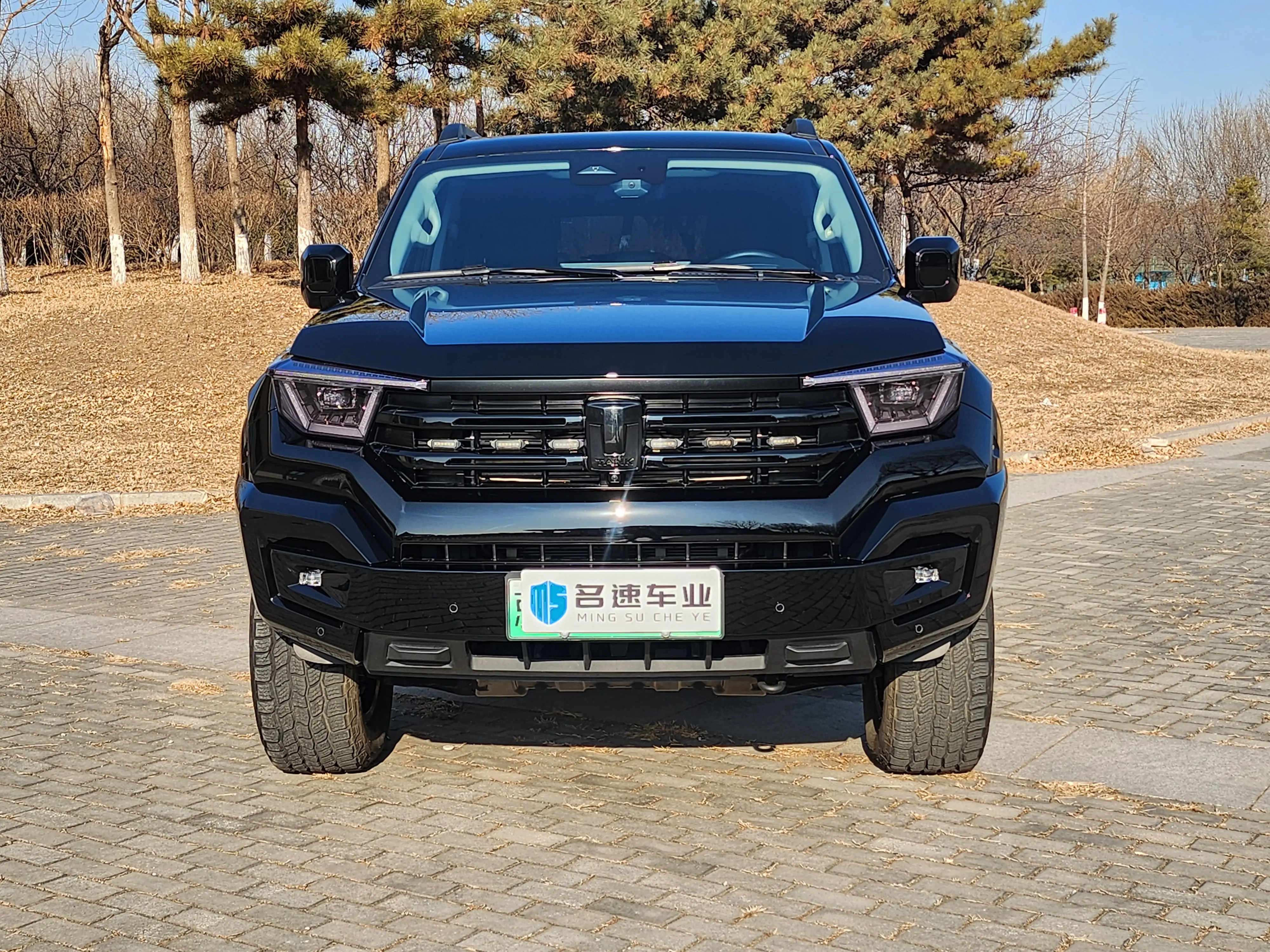 Tank 400 Hi4-T  из Китая