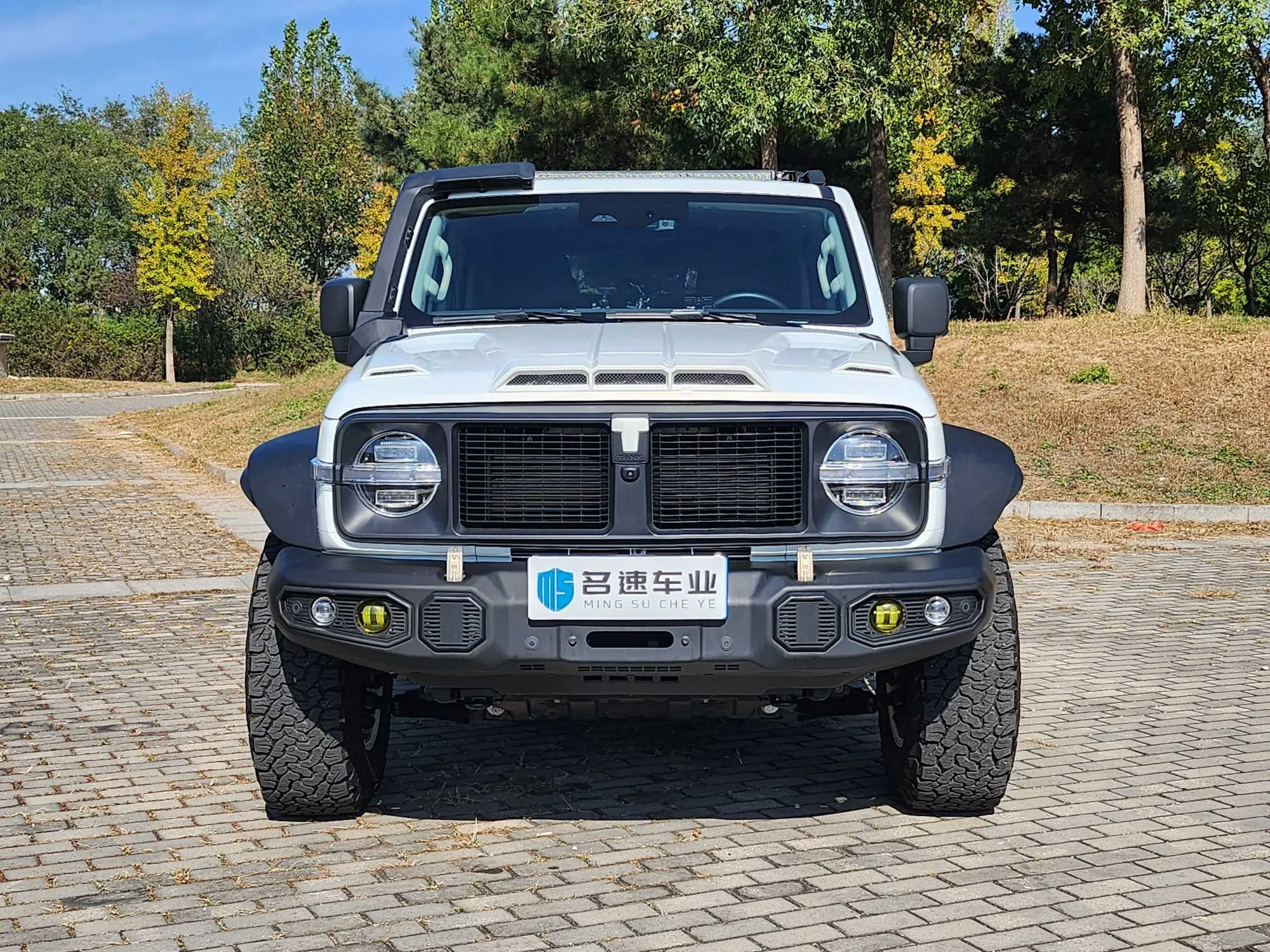 Tank 300  из Китая