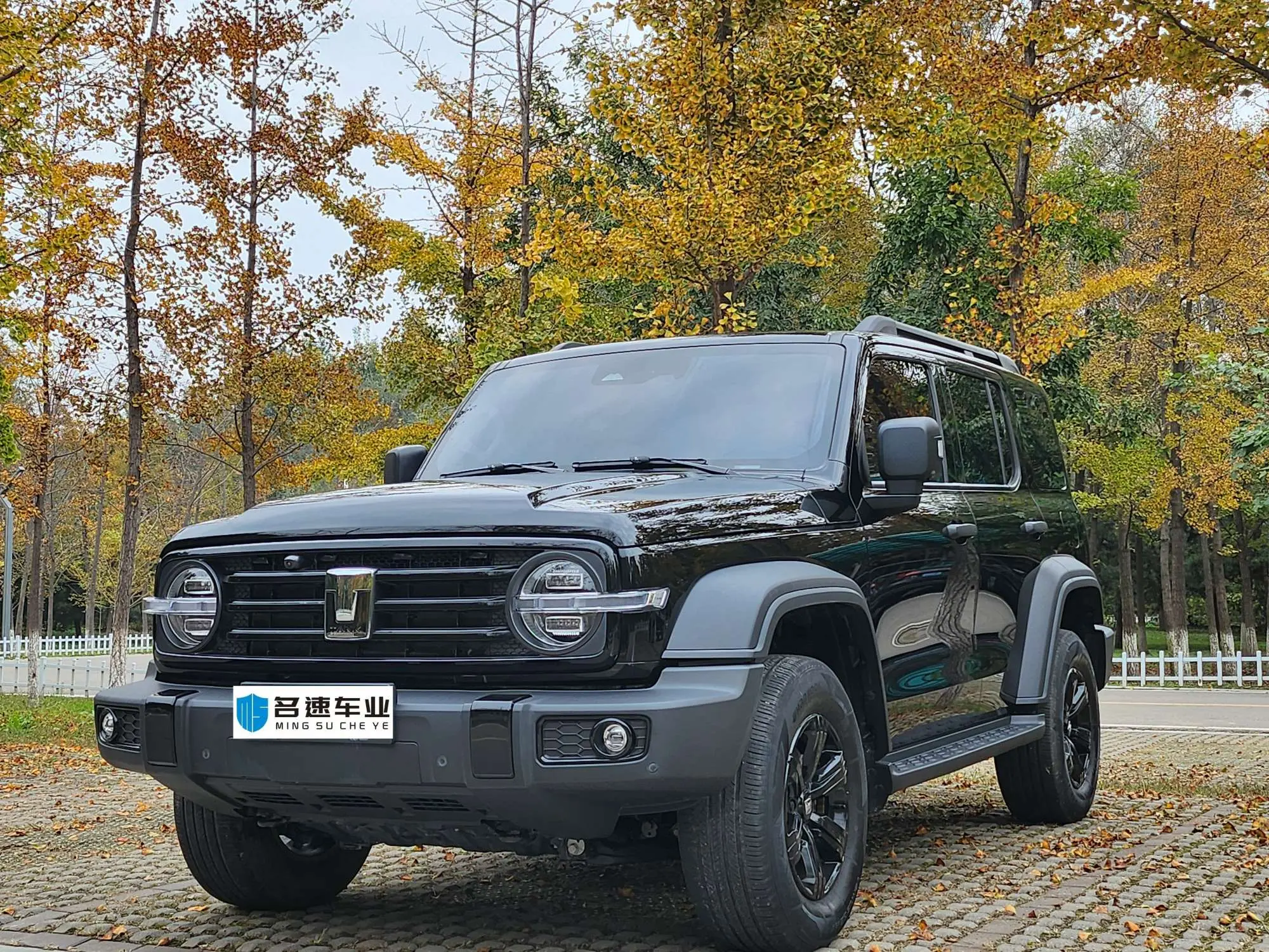 Tank 300  из Китая