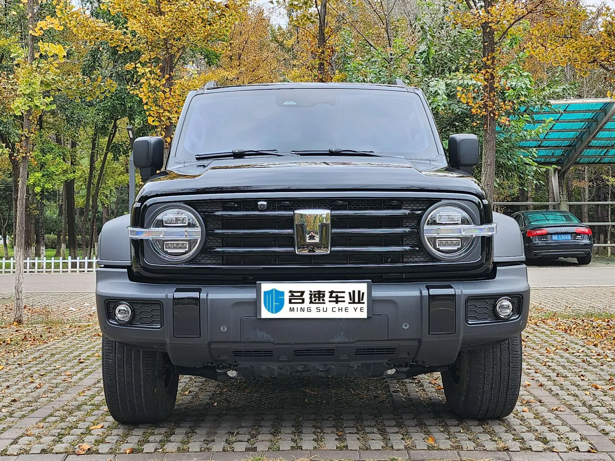 Tank 300  из Китая