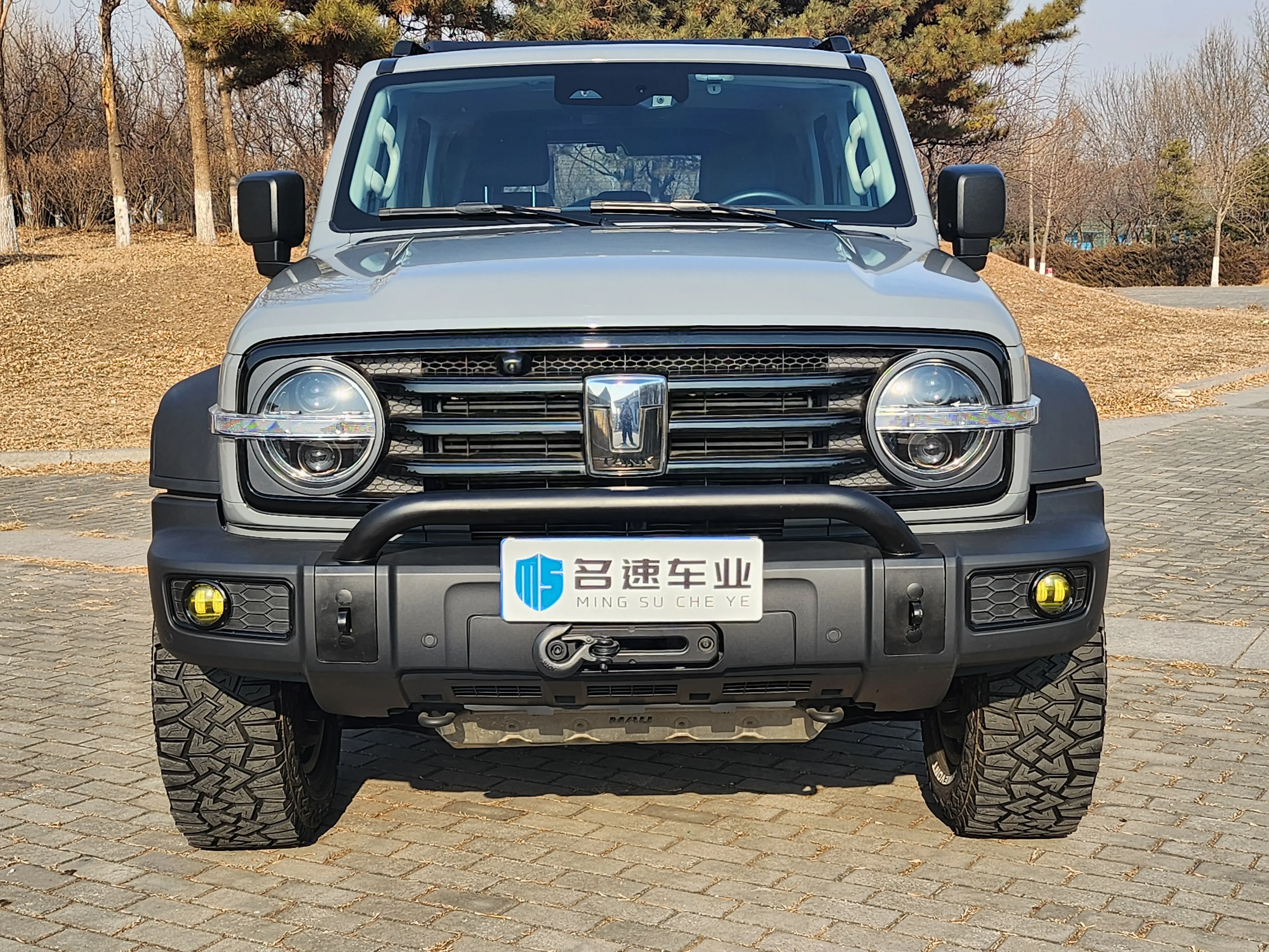 Tank 300  из Китая