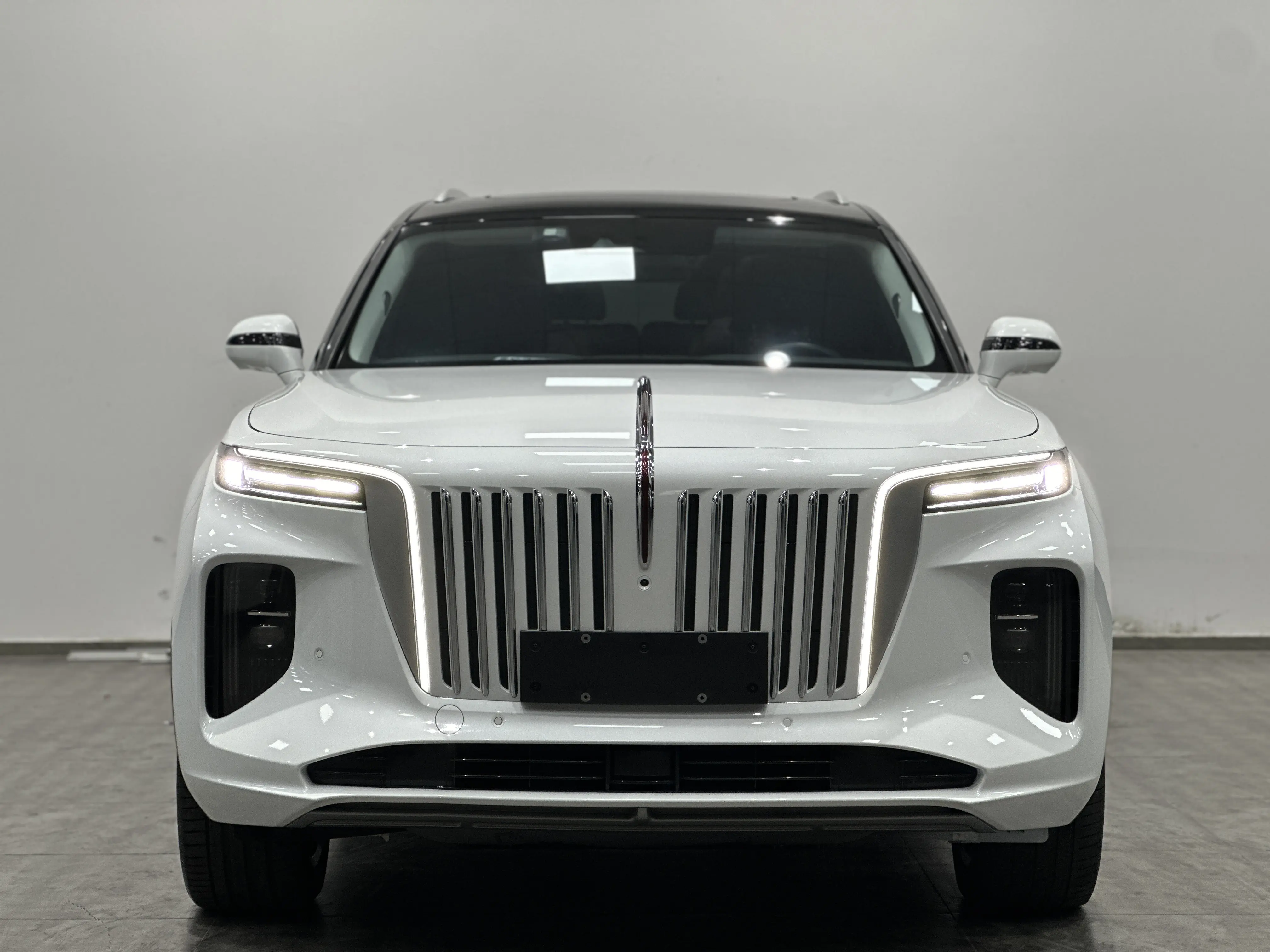 Hongqi E-HS9  из Китая