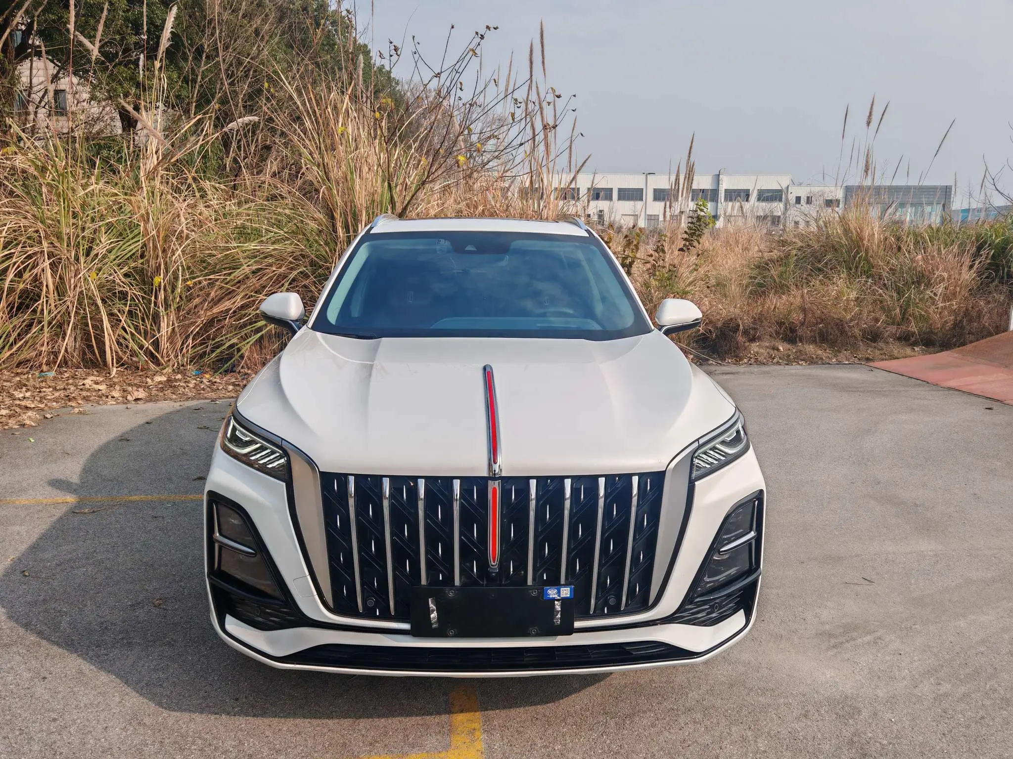 Hongqi HS5  из Китая