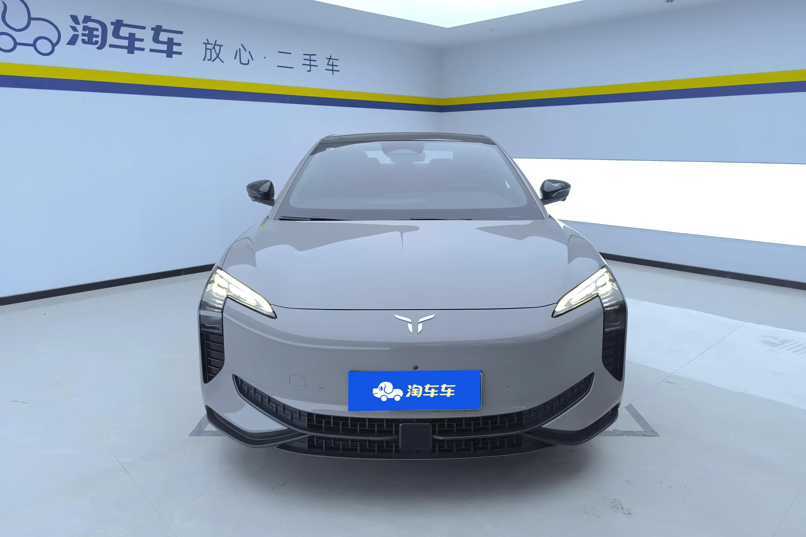 Hongqi EH7  из Китая