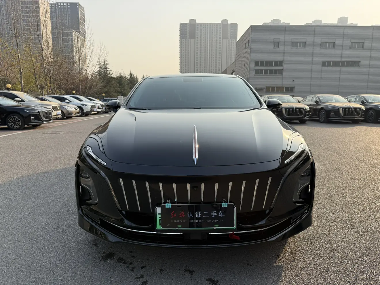 Hongqi E-QM5  из Китая