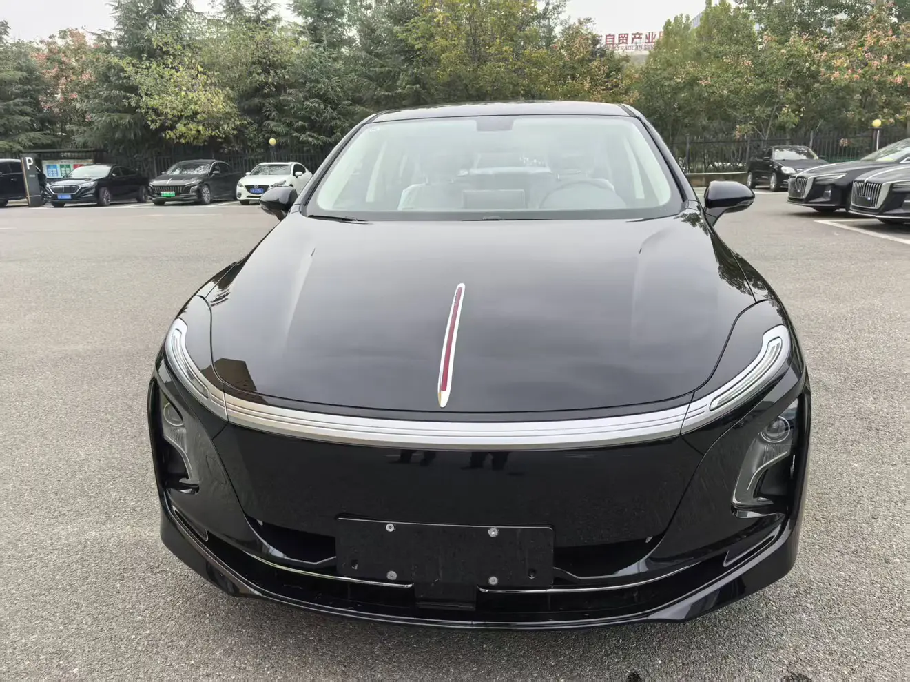 Hongqi E-QM5  из Китая