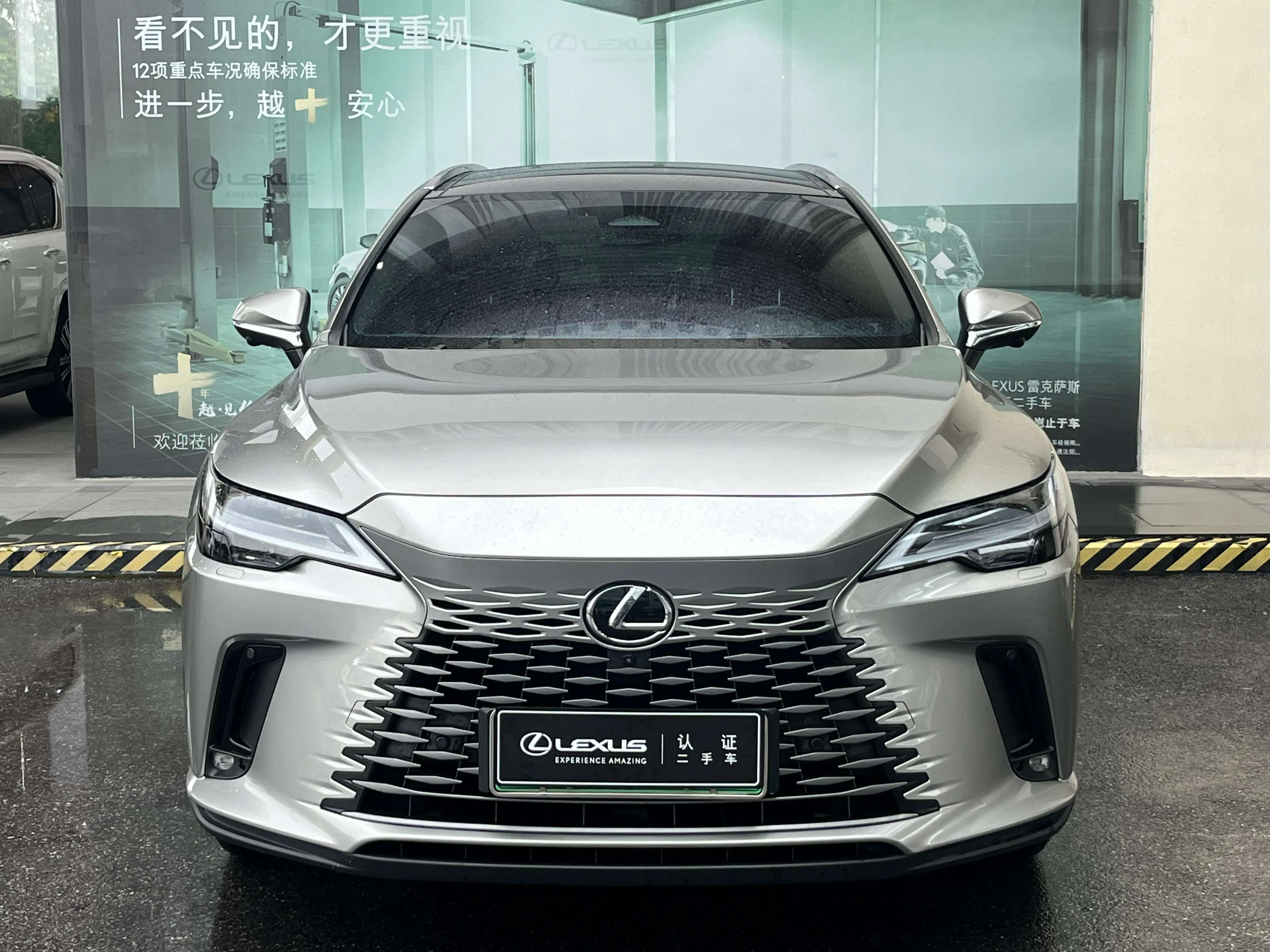Lexus RX PHEV  из Китая