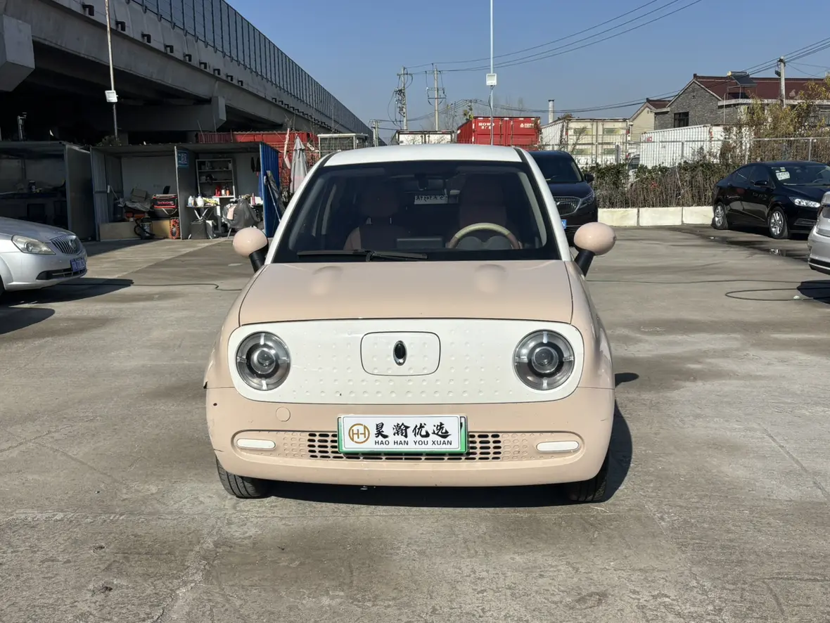 ORA Euler black cat  из Китая