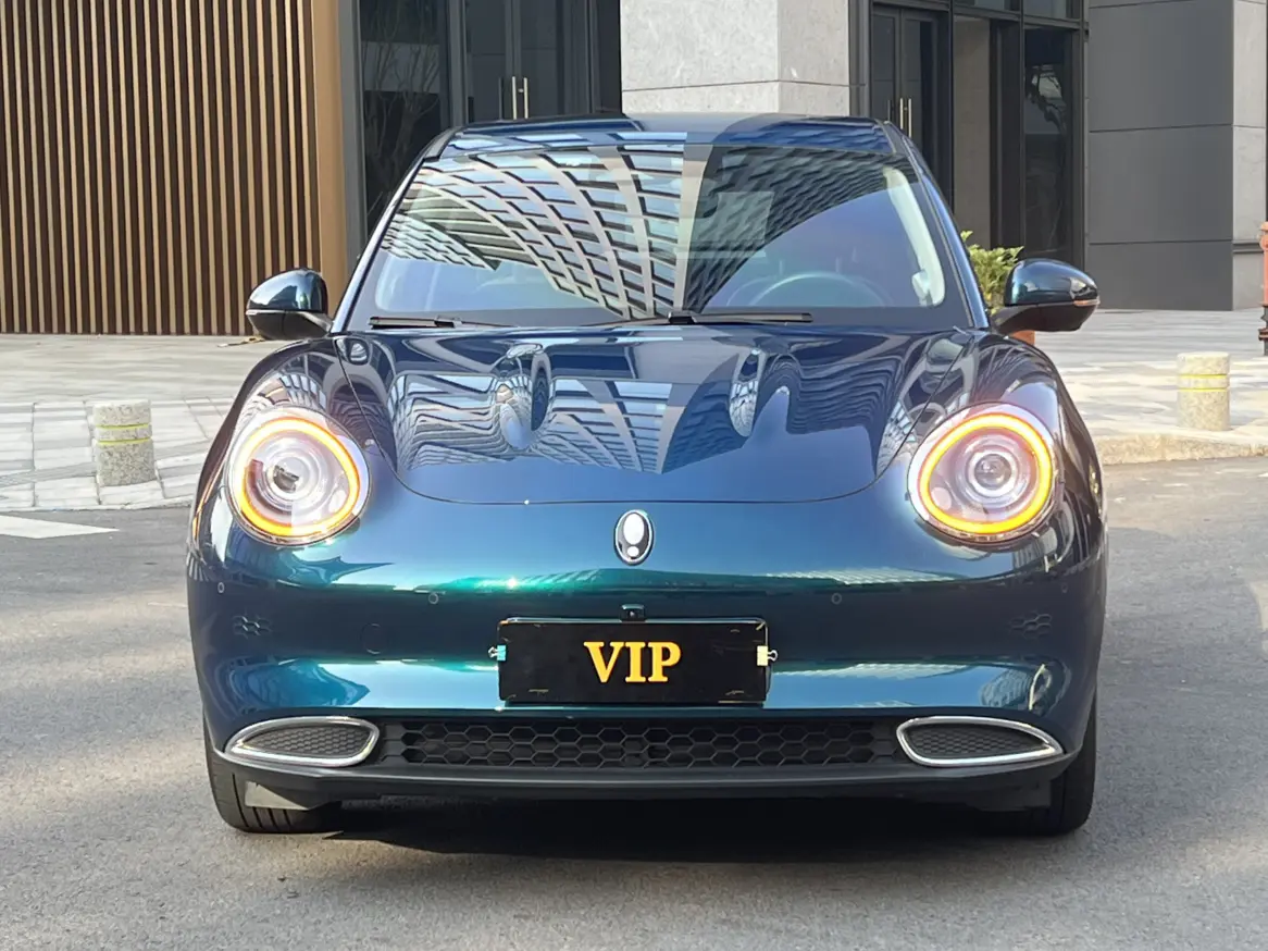 ORA Euler good cat  из Китая