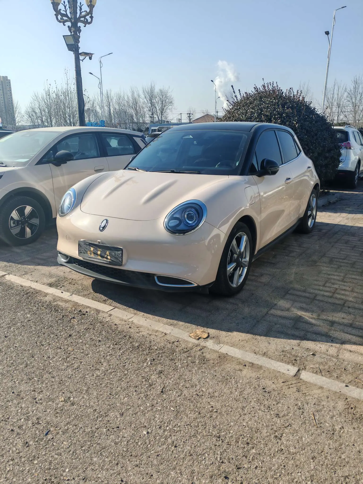 ORA Euler good cat  из Китая