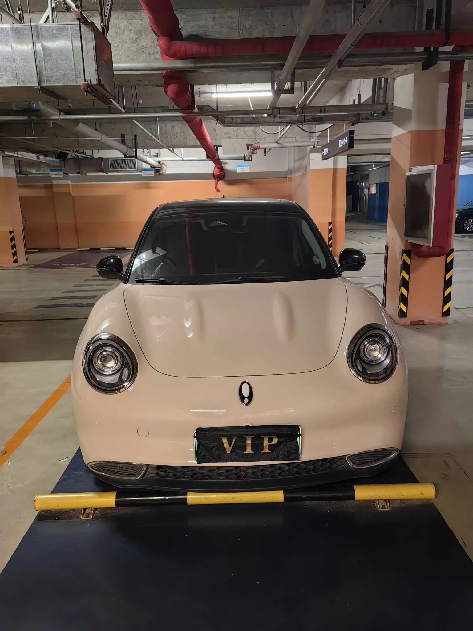 ORA Euler good cat  из Китая