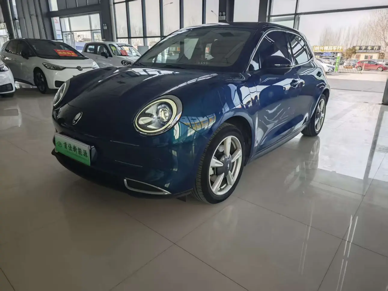 ORA Euler good cat  из Китая