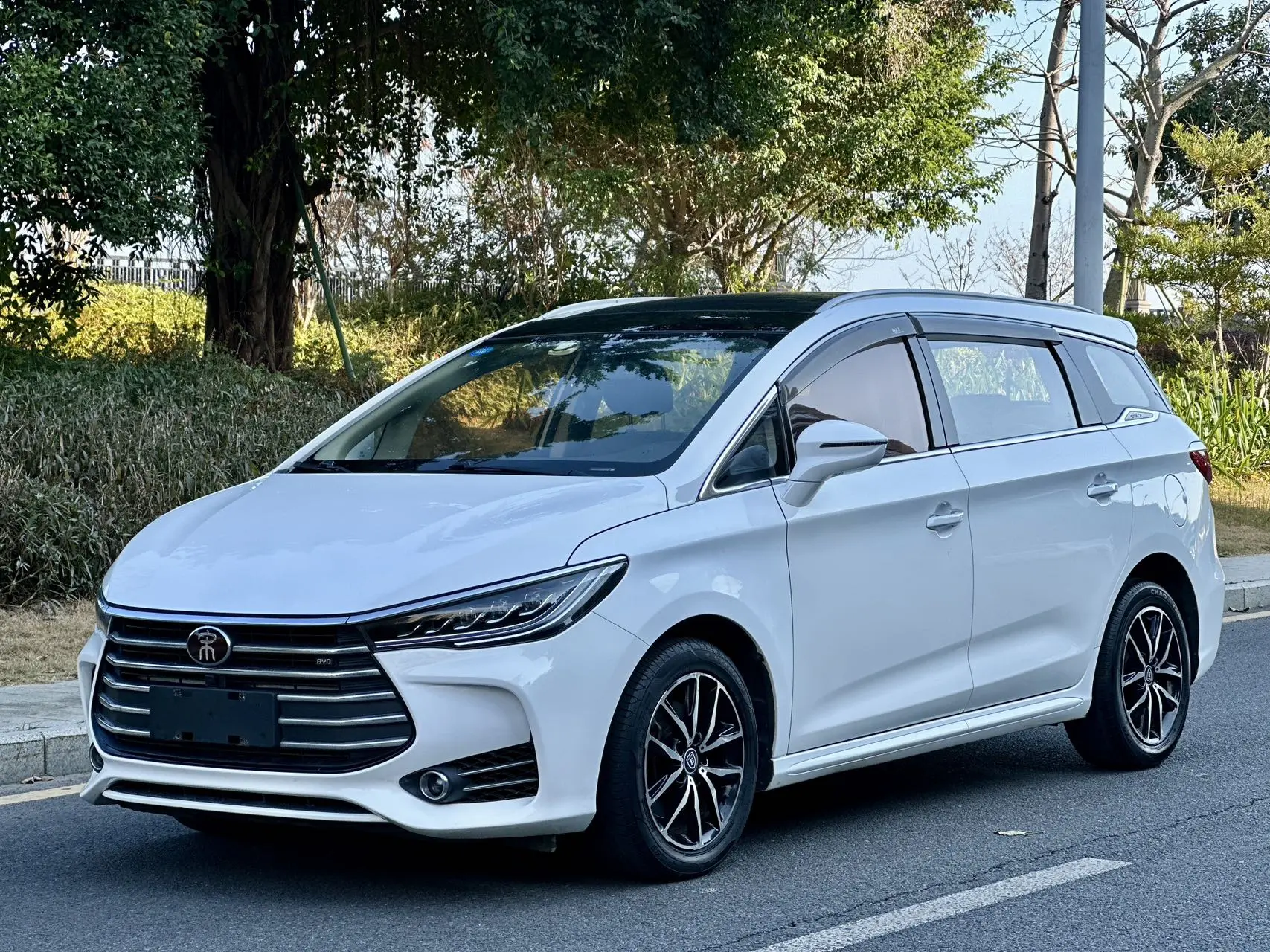 BYD Song MAX  из Китая