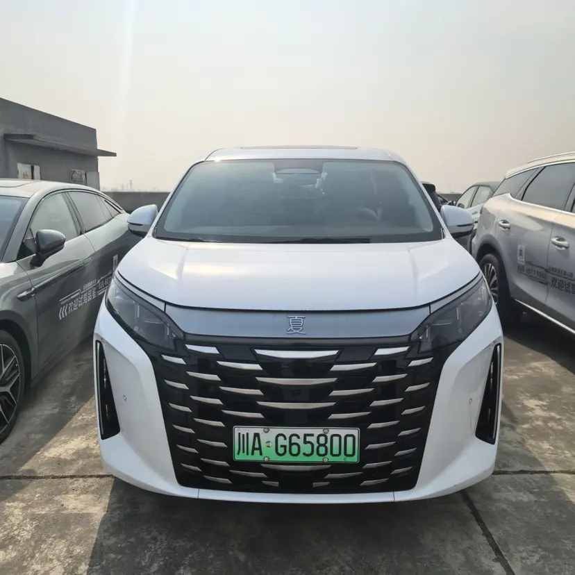 BYD Summer  из Китая