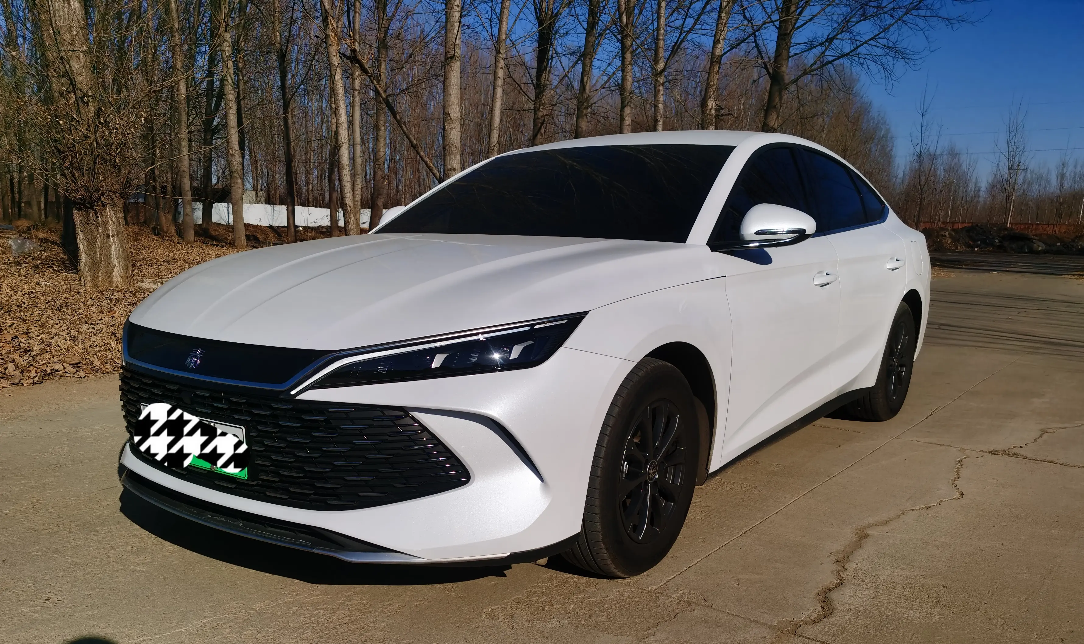 BYD Qin L DM  из Китая