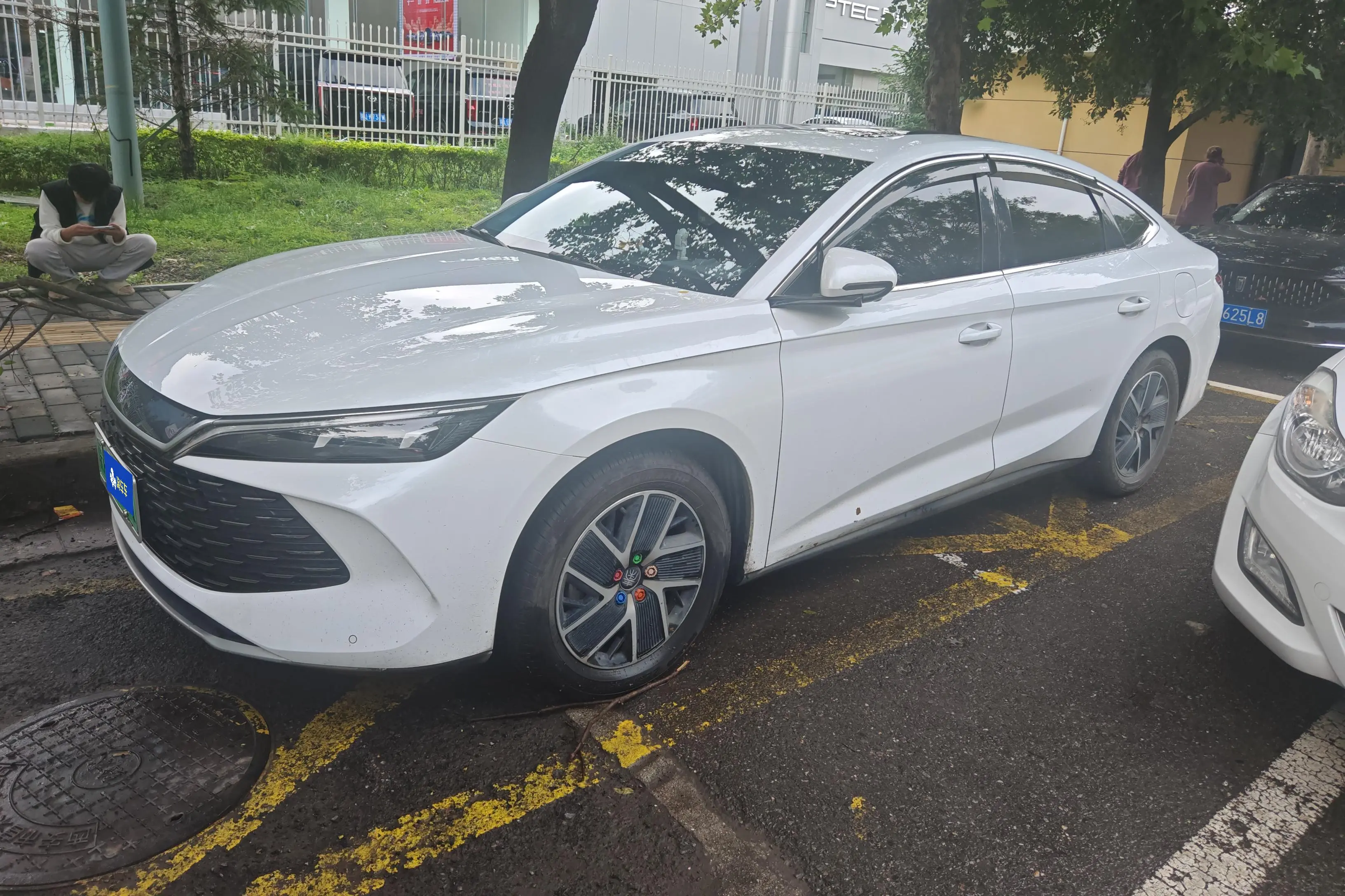 BYD Qin L DM  из Китая