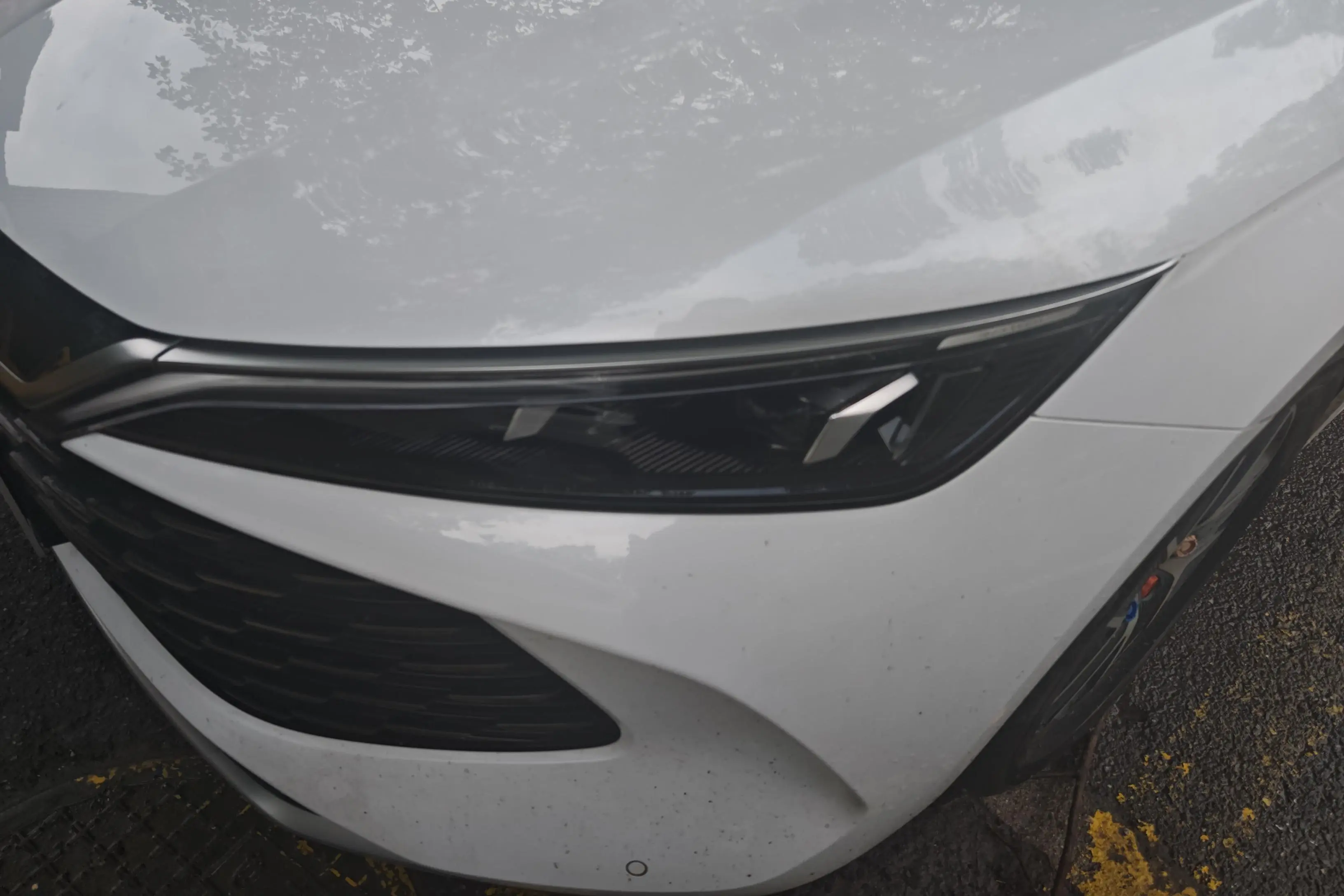 BYD Qin L DM  из Китая