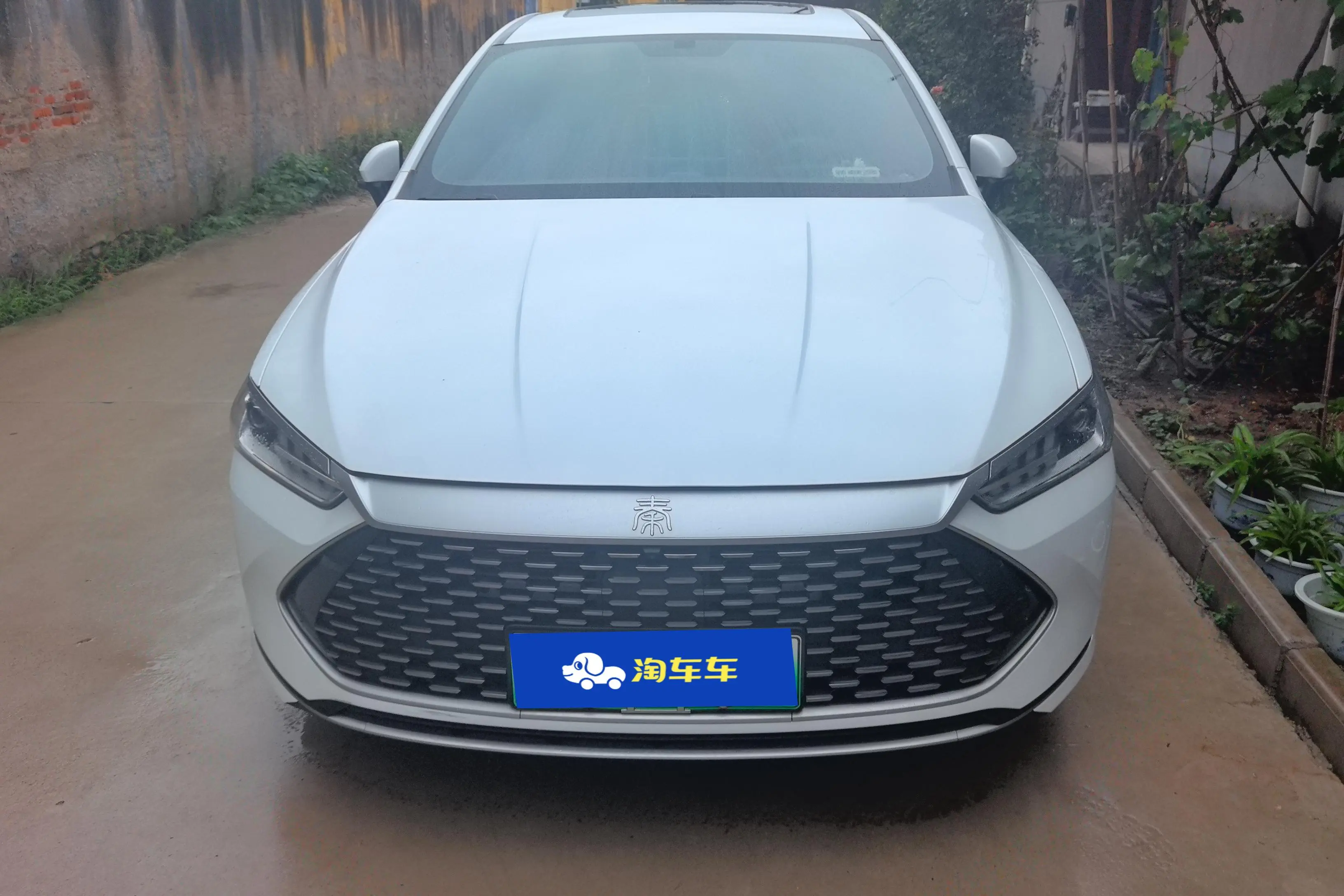 BYD Qin PLUS DM  из Китая
