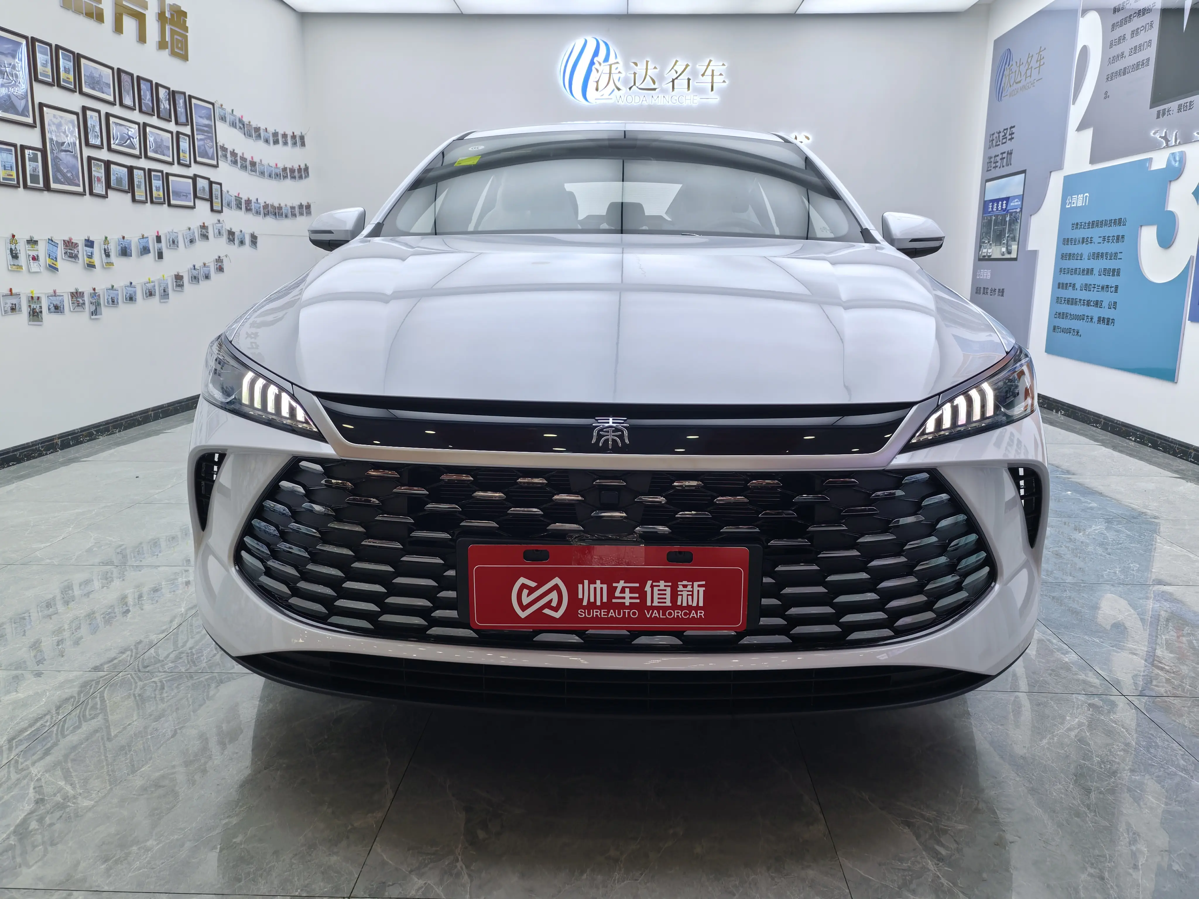 BYD Qin PLUS DM  из Китая