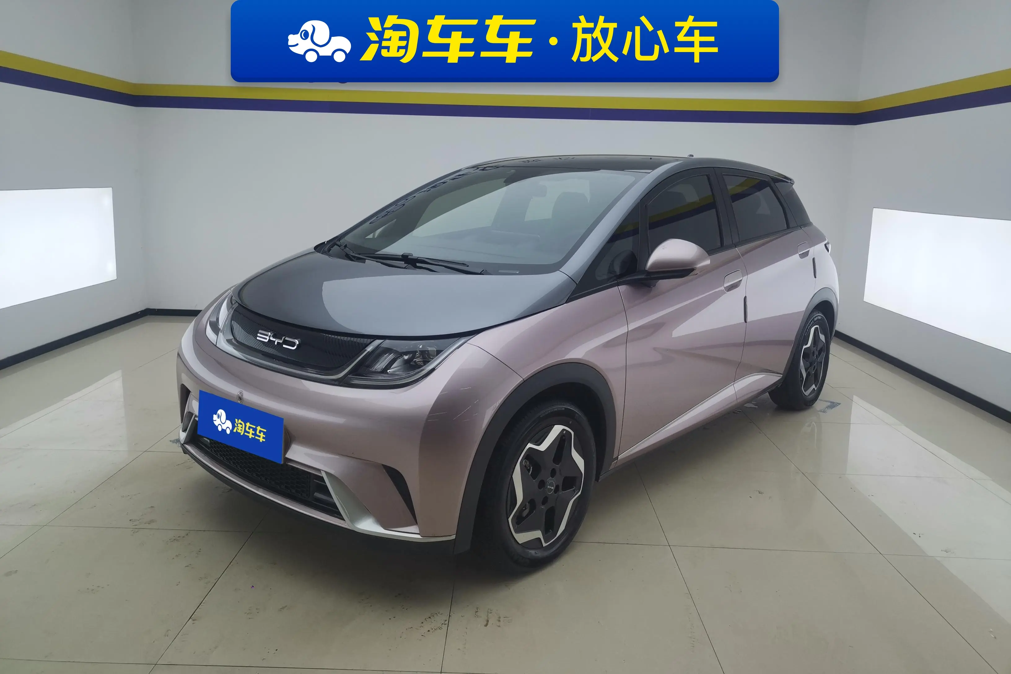 BYD Dolphin  из Китая