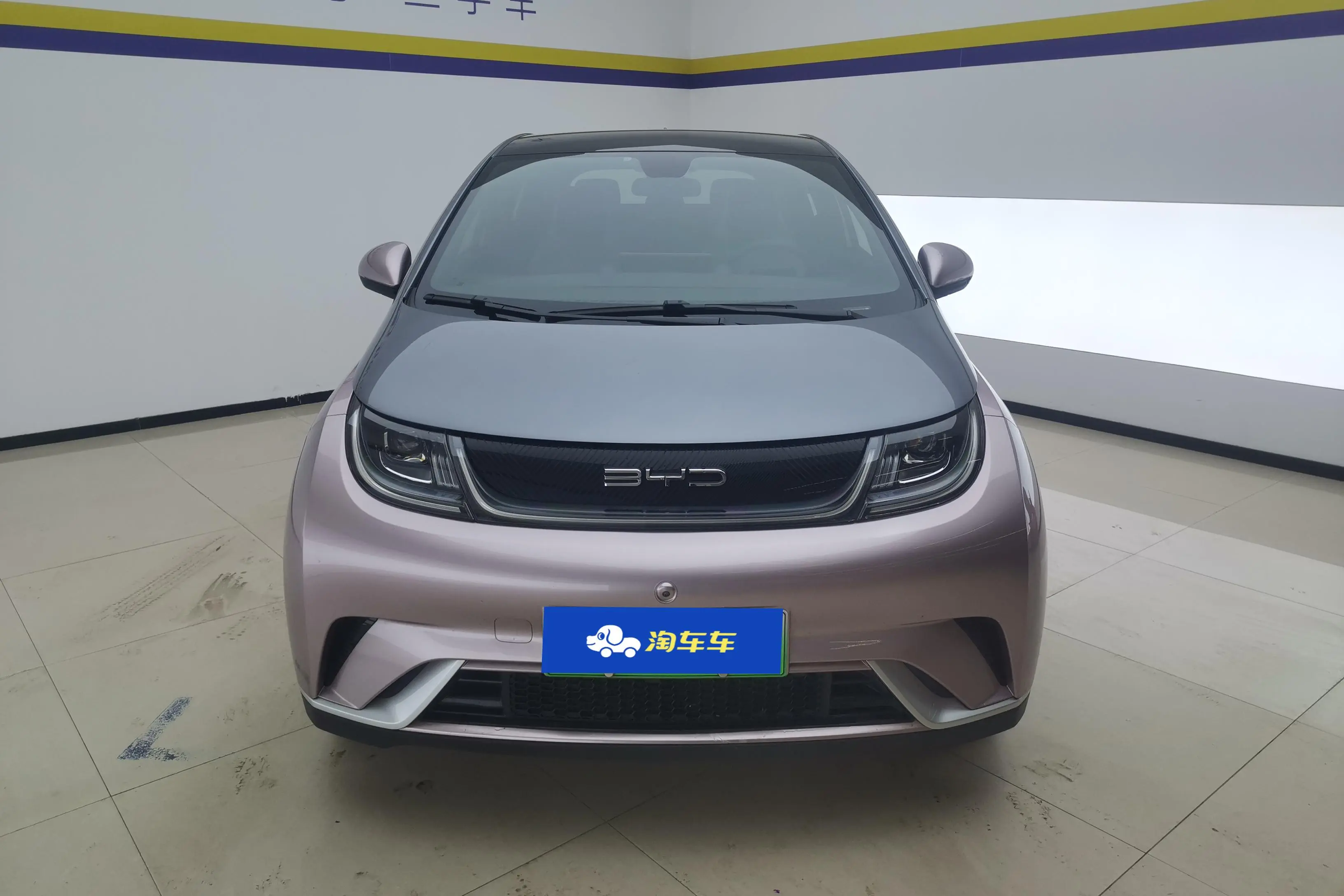 BYD Dolphin  из Китая