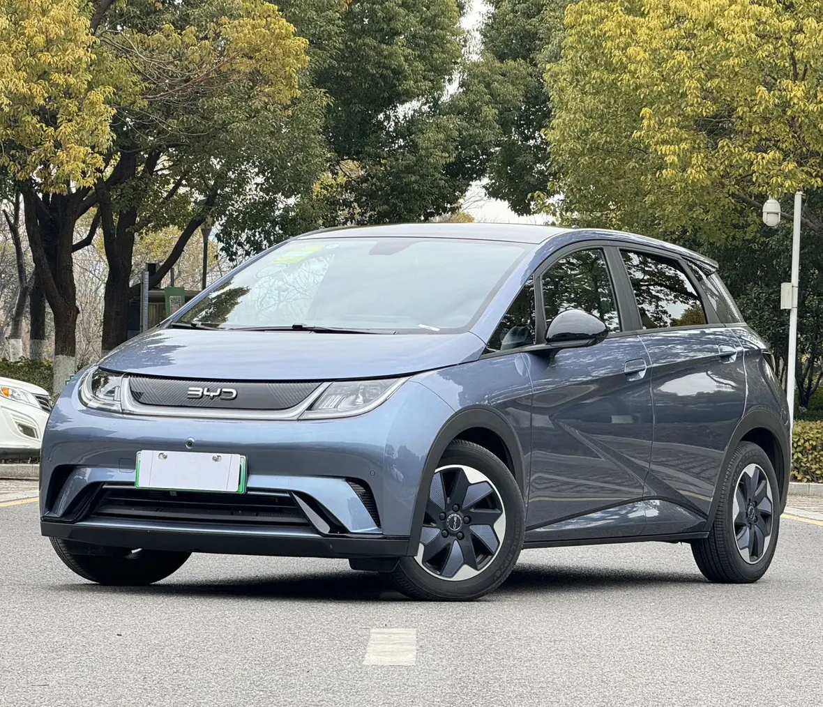 BYD Dolphin  из Китая