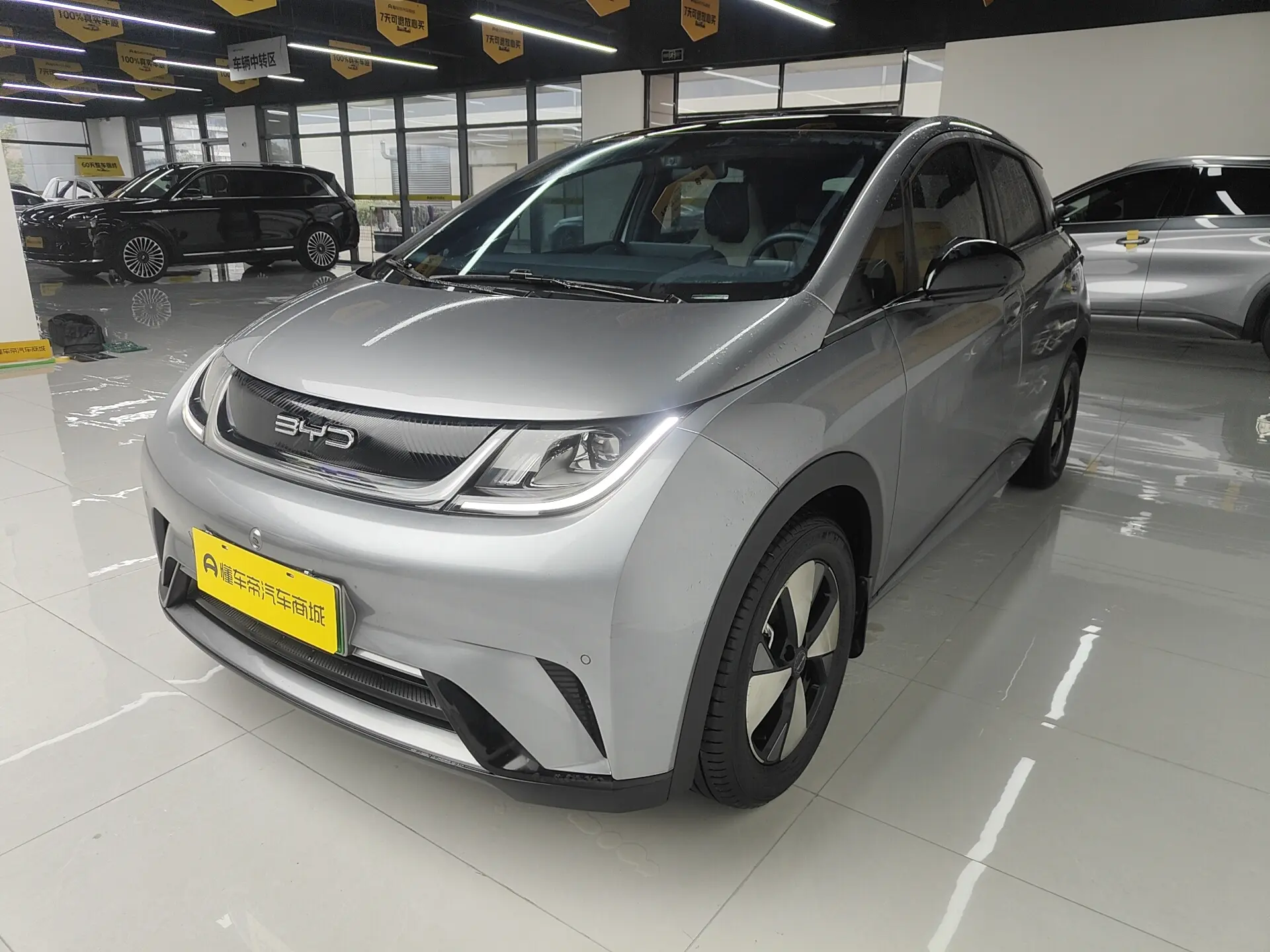 BYD Dolphin  из Китая