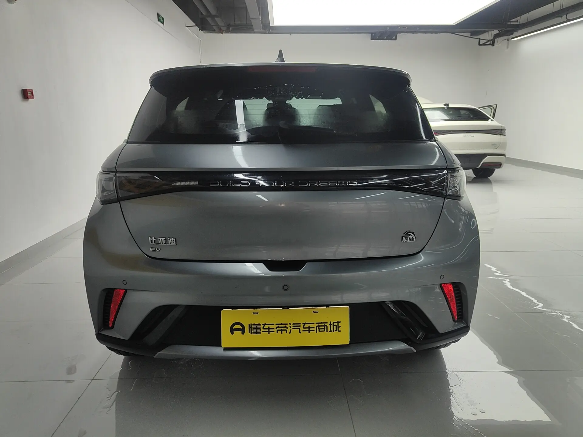 BYD Dolphin  из Китая