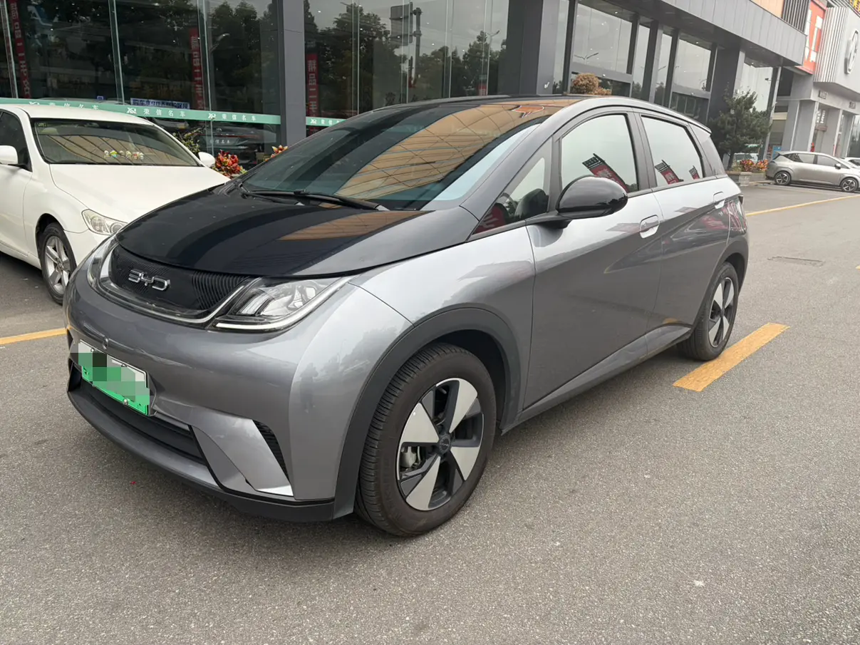 BYD Dolphin  из Китая
