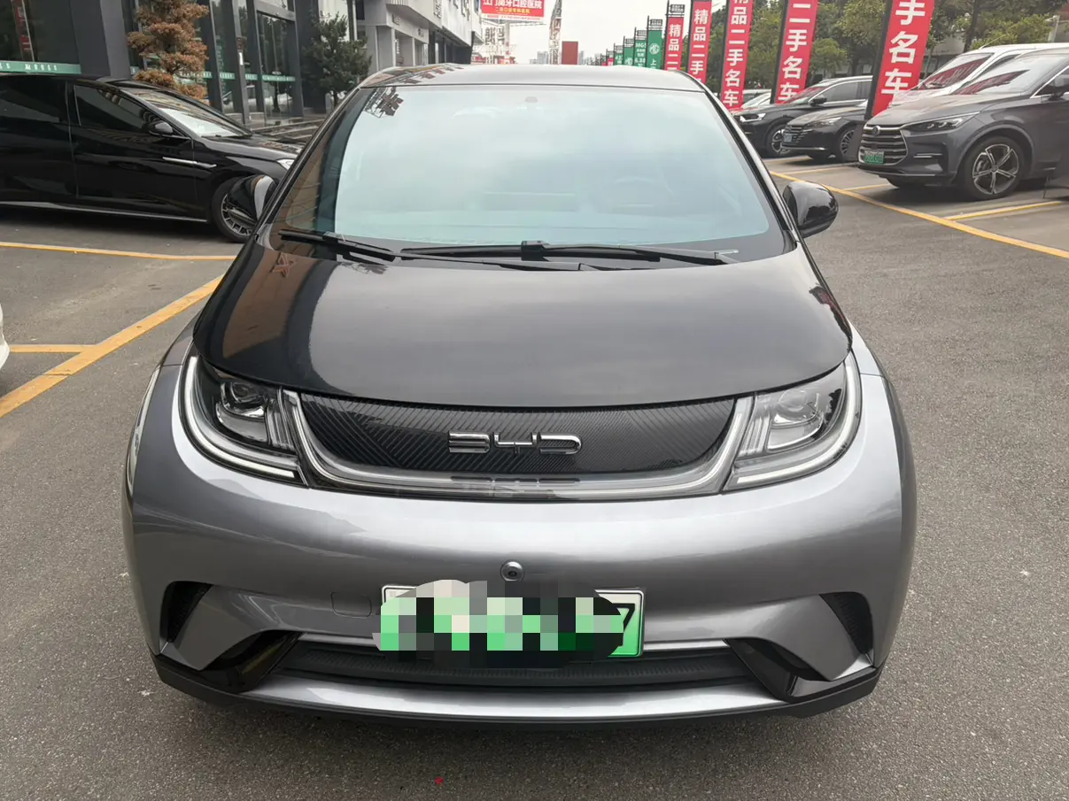 BYD Dolphin  из Китая