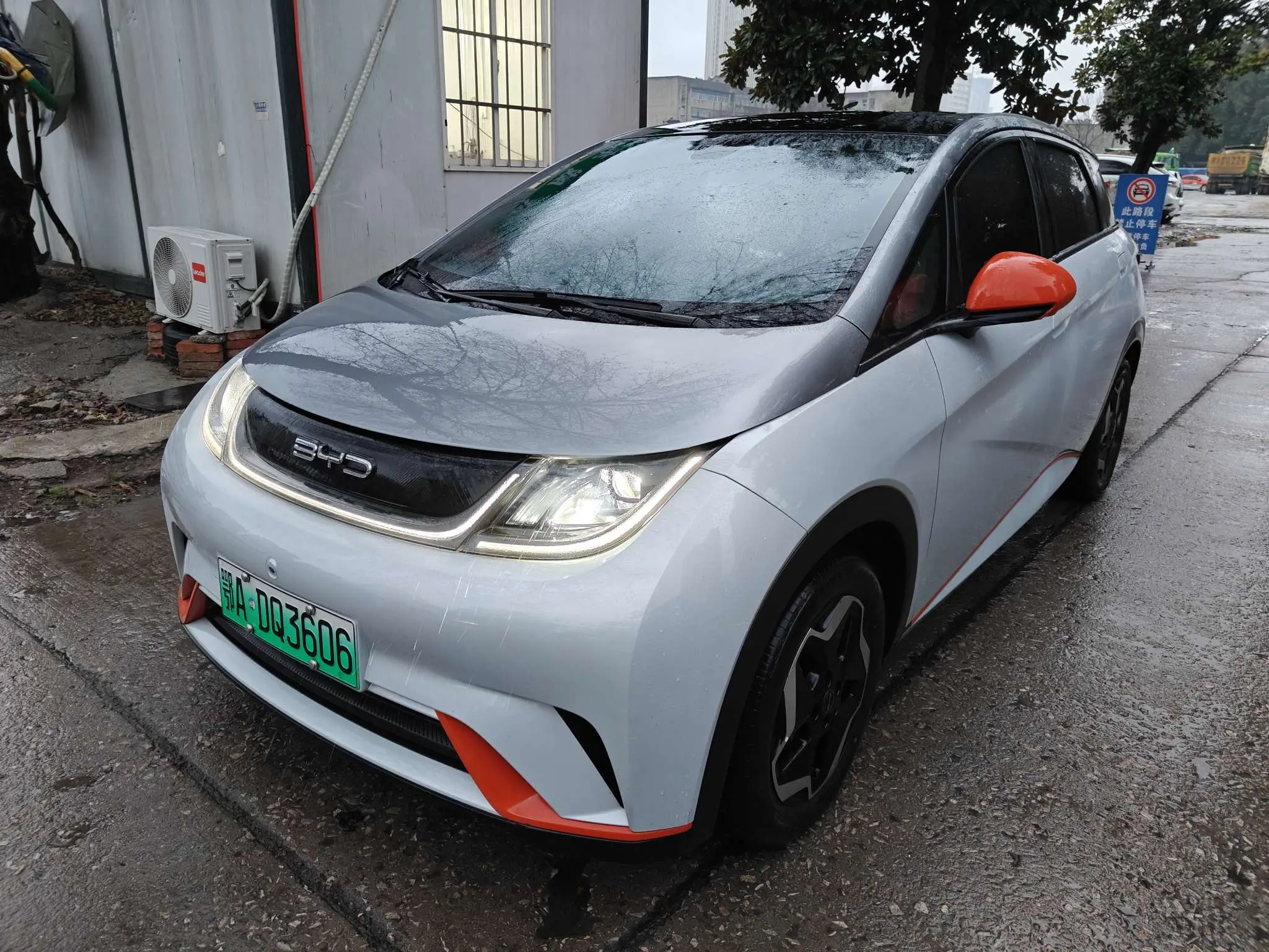 BYD Dolphin  из Китая