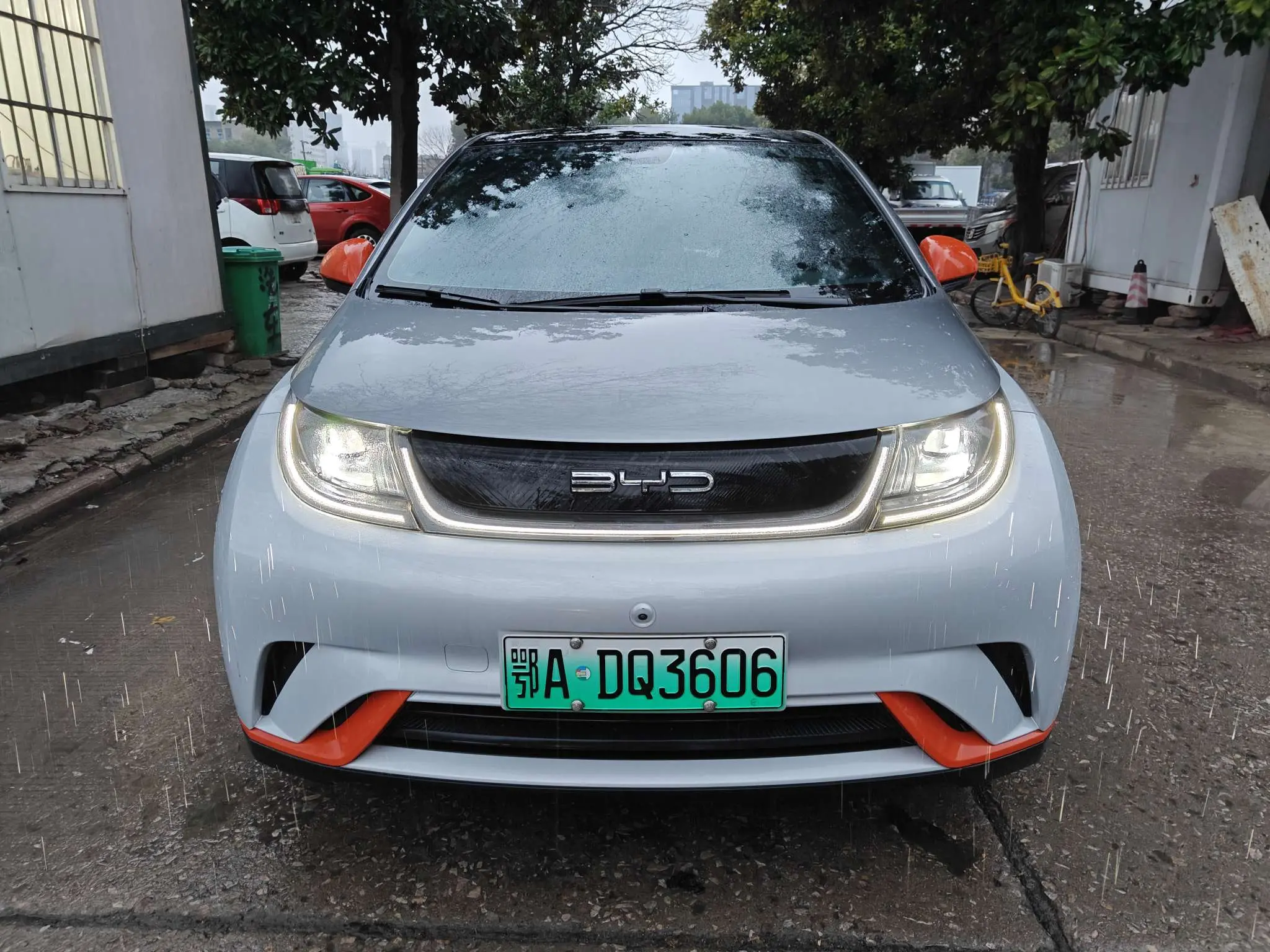 BYD Dolphin  из Китая