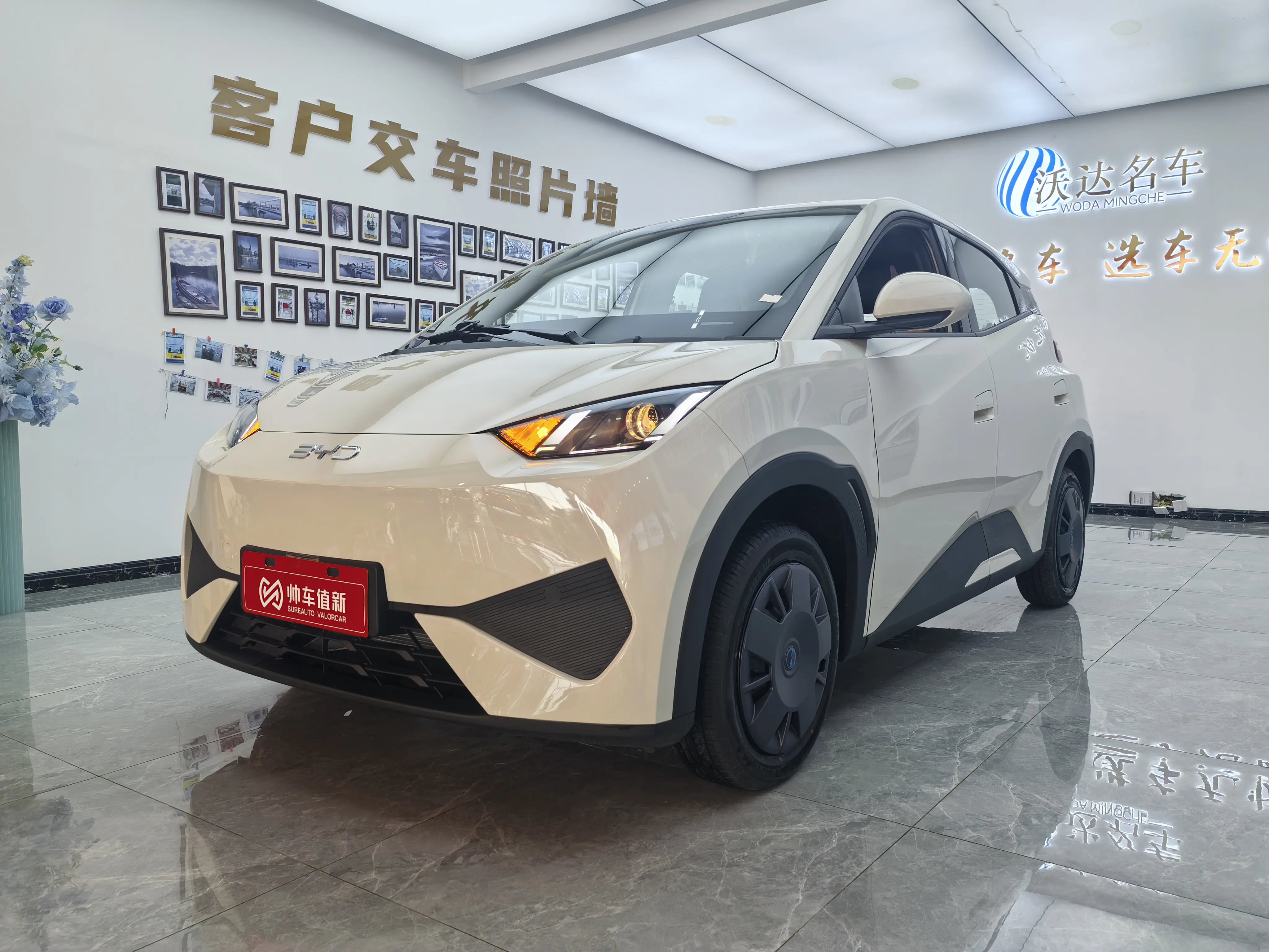 BYD Seagull  из Китая