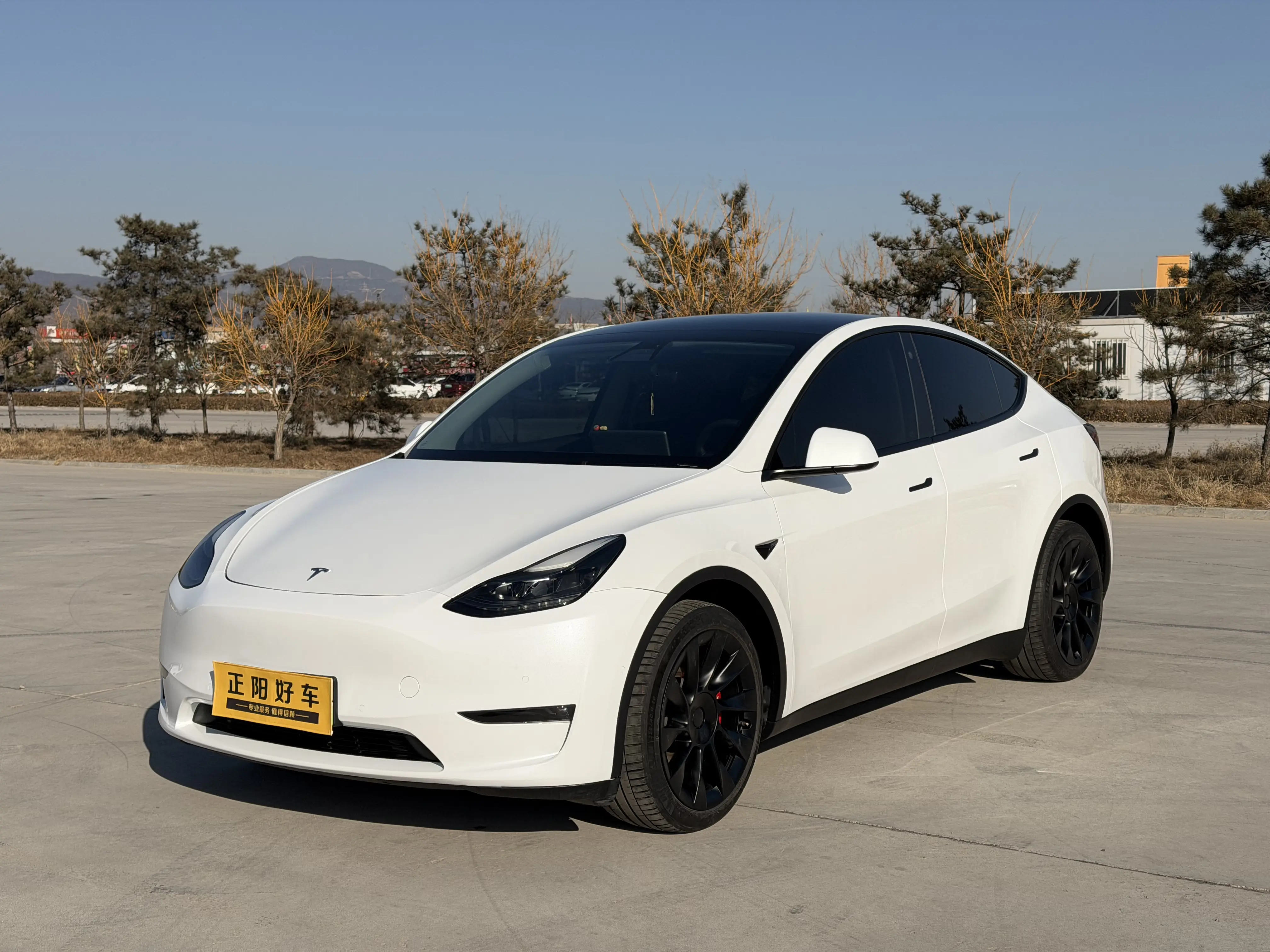 Tesla Model Y  из Китая