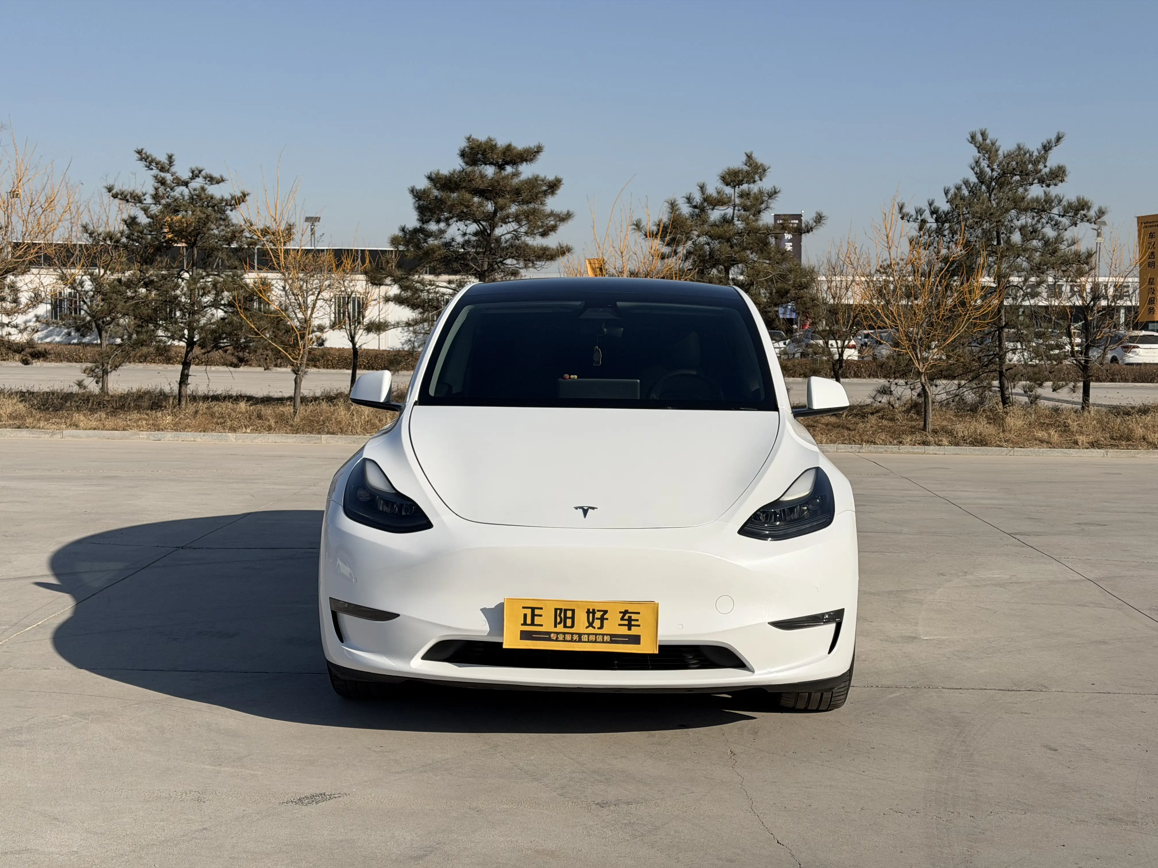 Tesla Model Y  из Китая