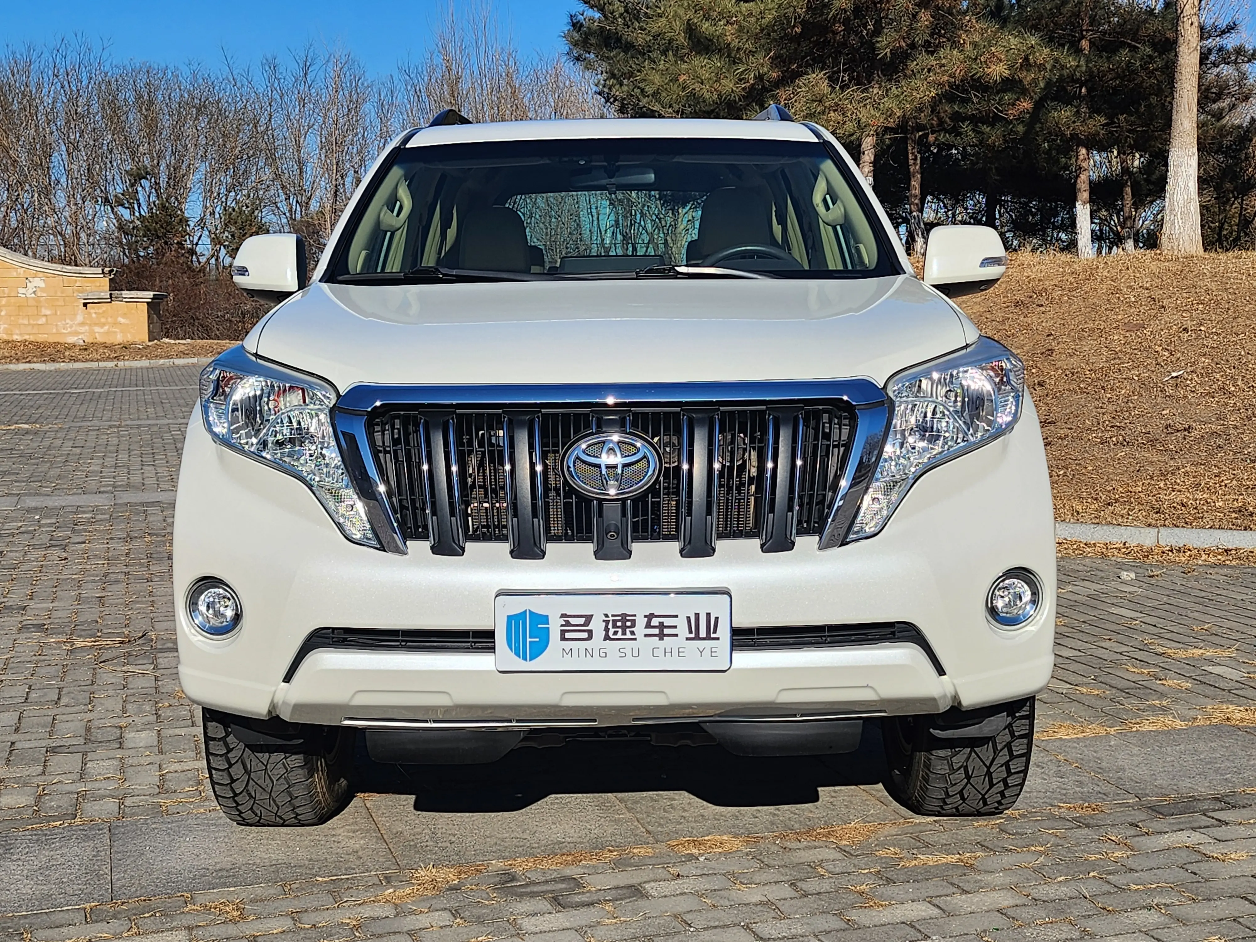 Toyota Prado