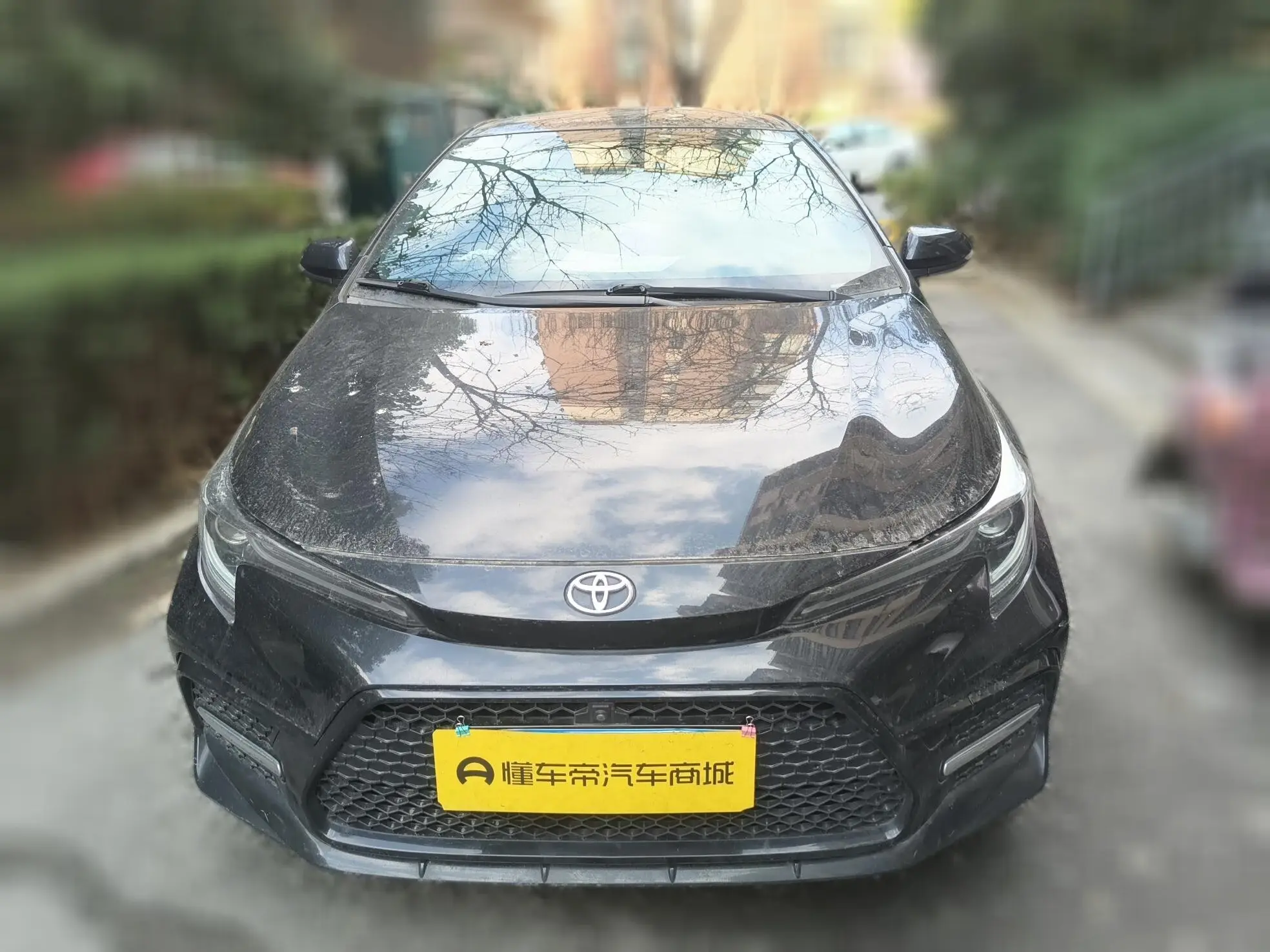 Toyota Levin (Lei Ling)  из Китая