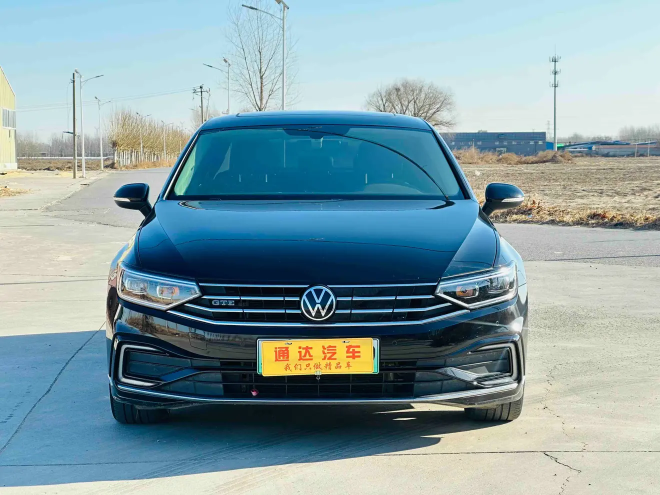 Volkswagen Magotan PHEV  из Китая