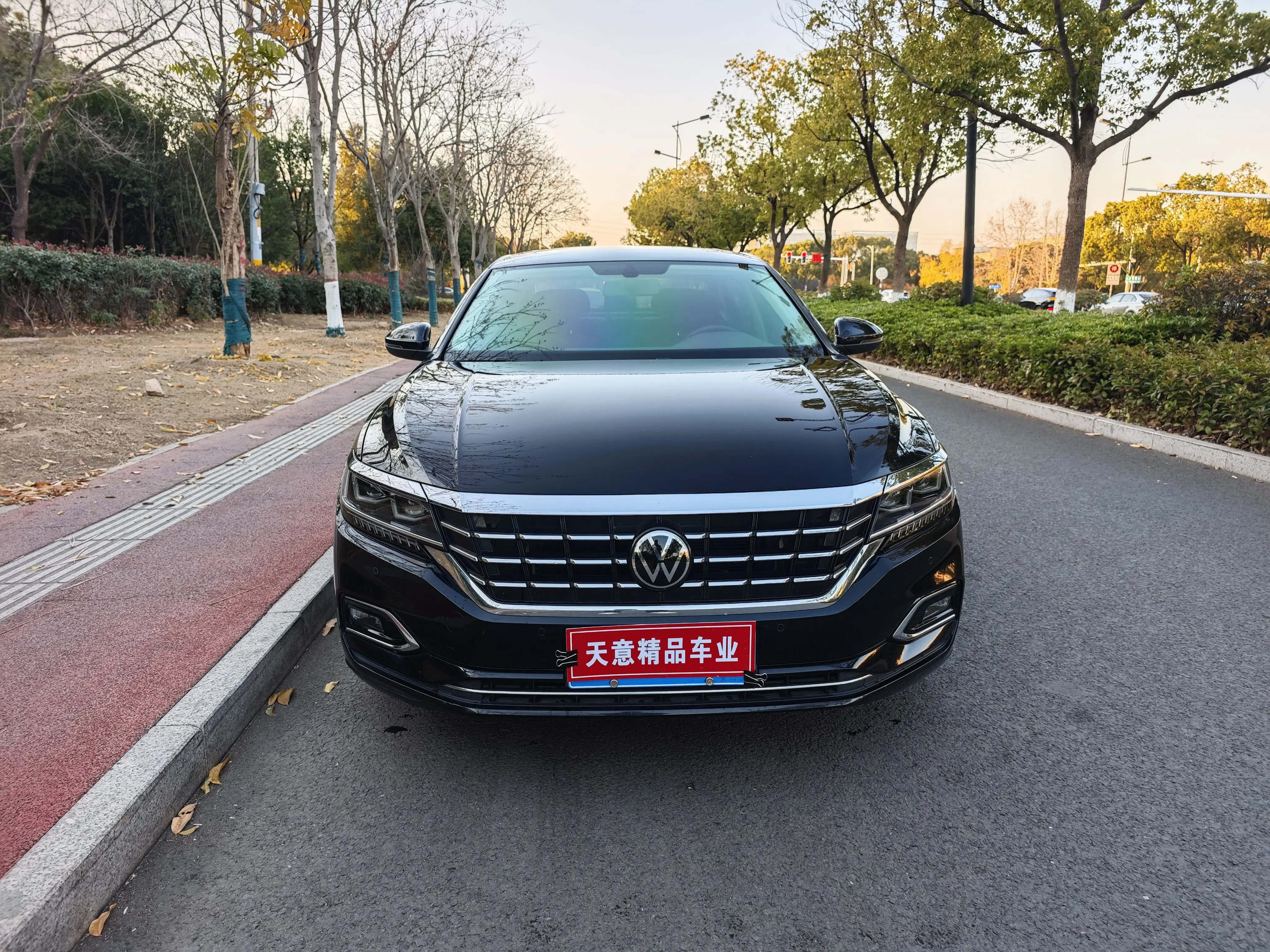 Volkswagen Passat  из Китая