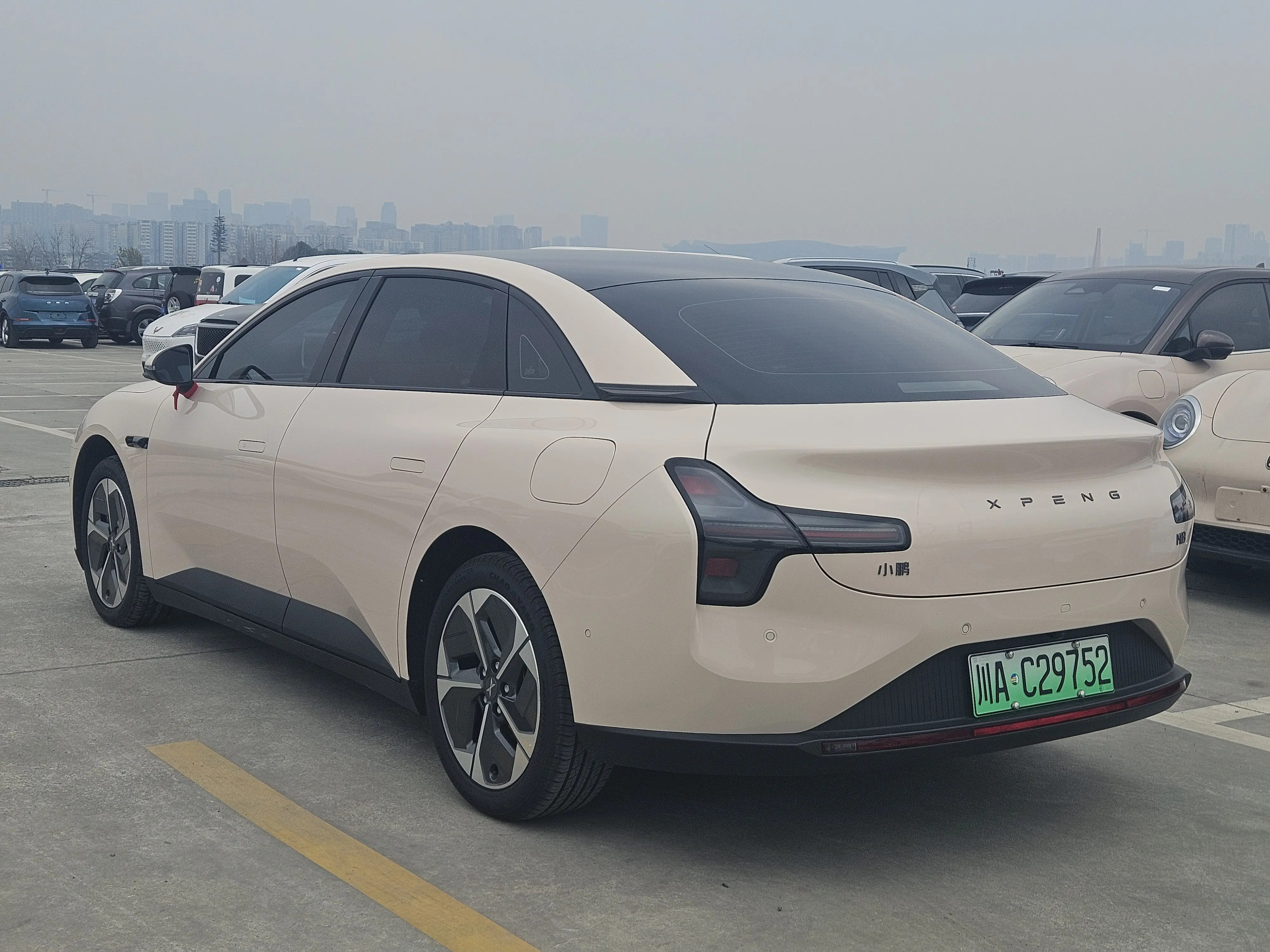 Xpeng Xiaopeng MONA M03  из Китая