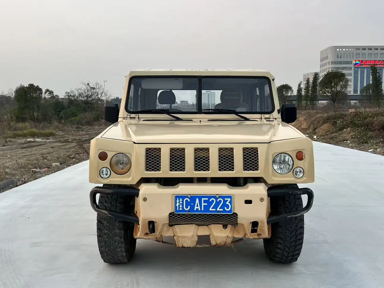 BAW Warrior Pickup  из Китая