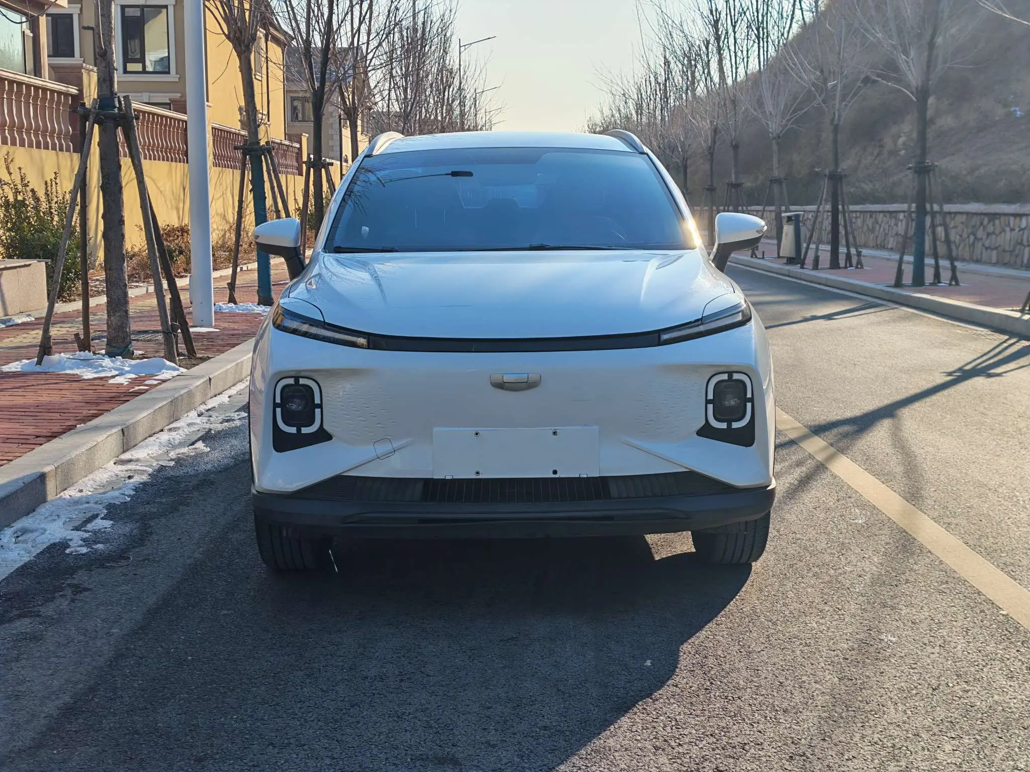 Geely Geometry E Firefly  из Китая