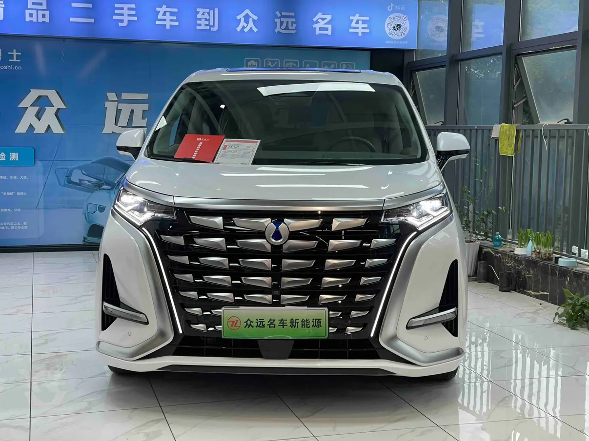 Denza D9 DM  из Китая