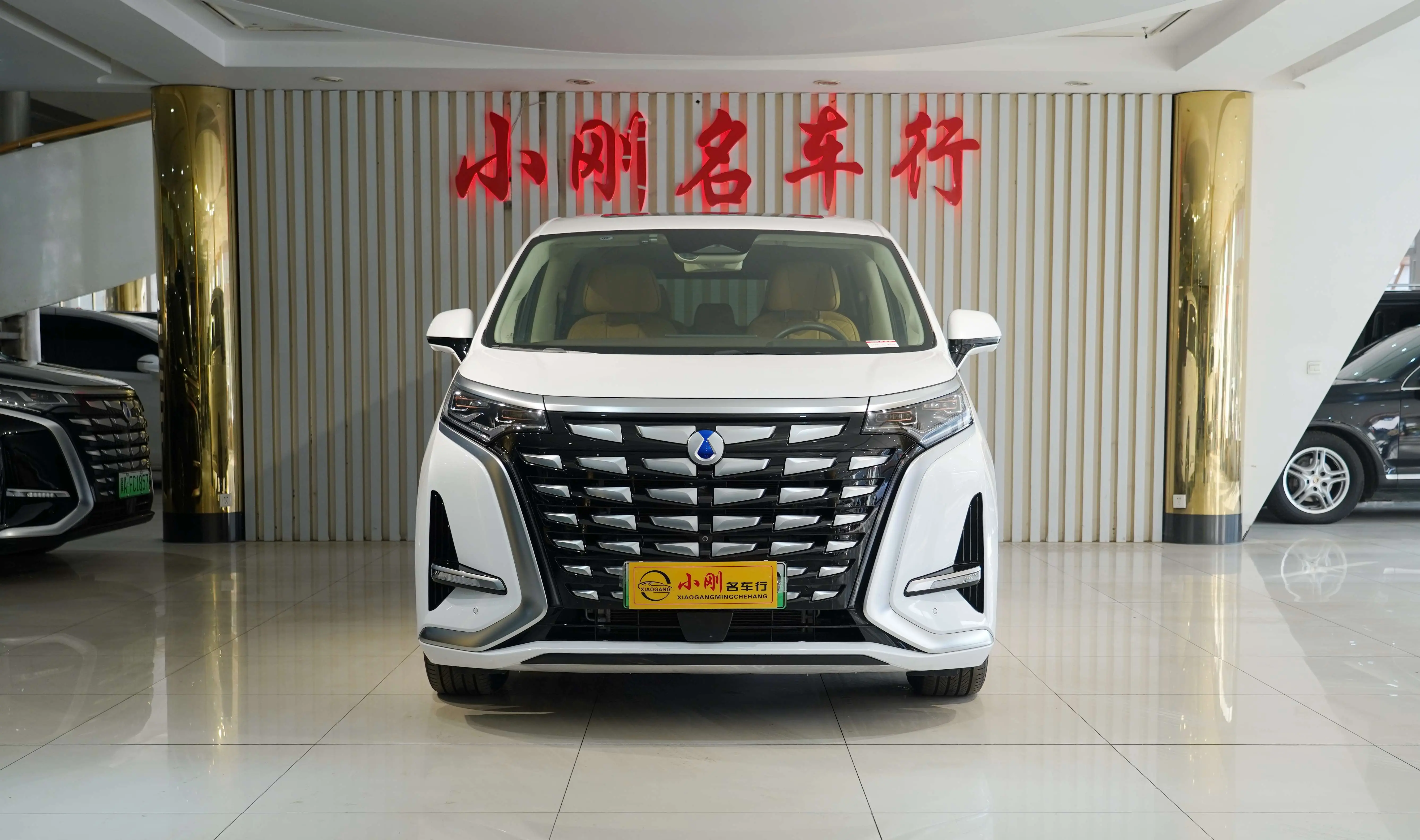 Denza D9 DM  из Китая