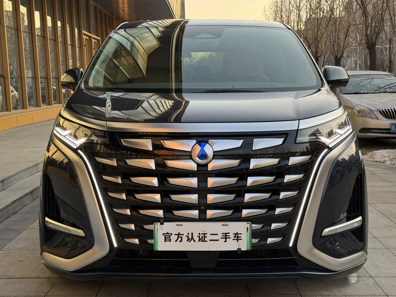 Denza D9 DM  из Китая