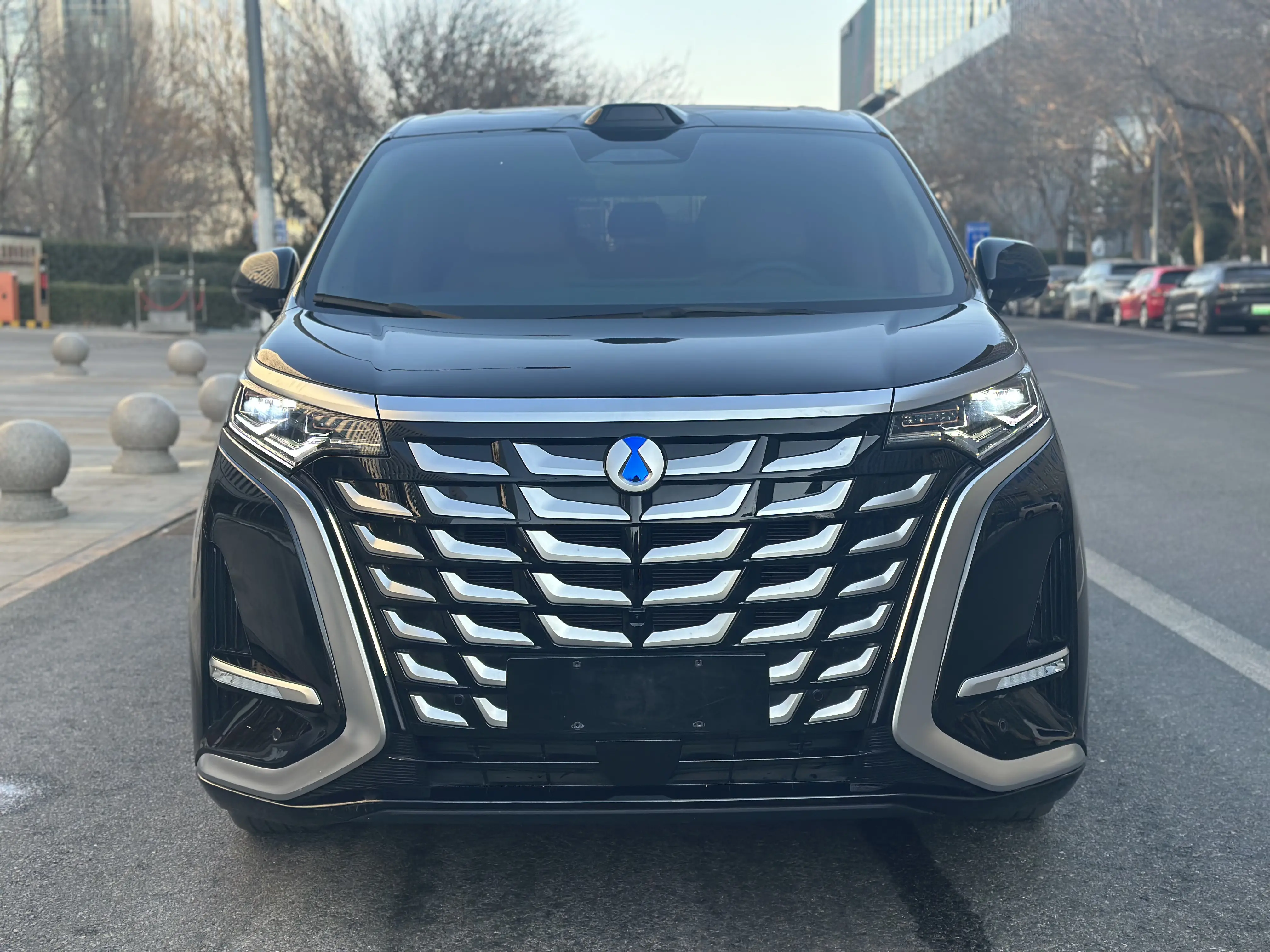 Denza D9 DM  из Китая