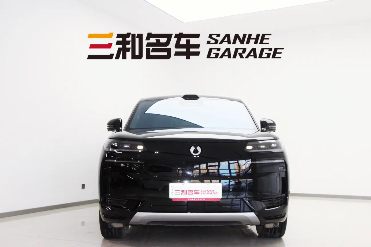 Denza Tengzhong N9 DM  из Китая