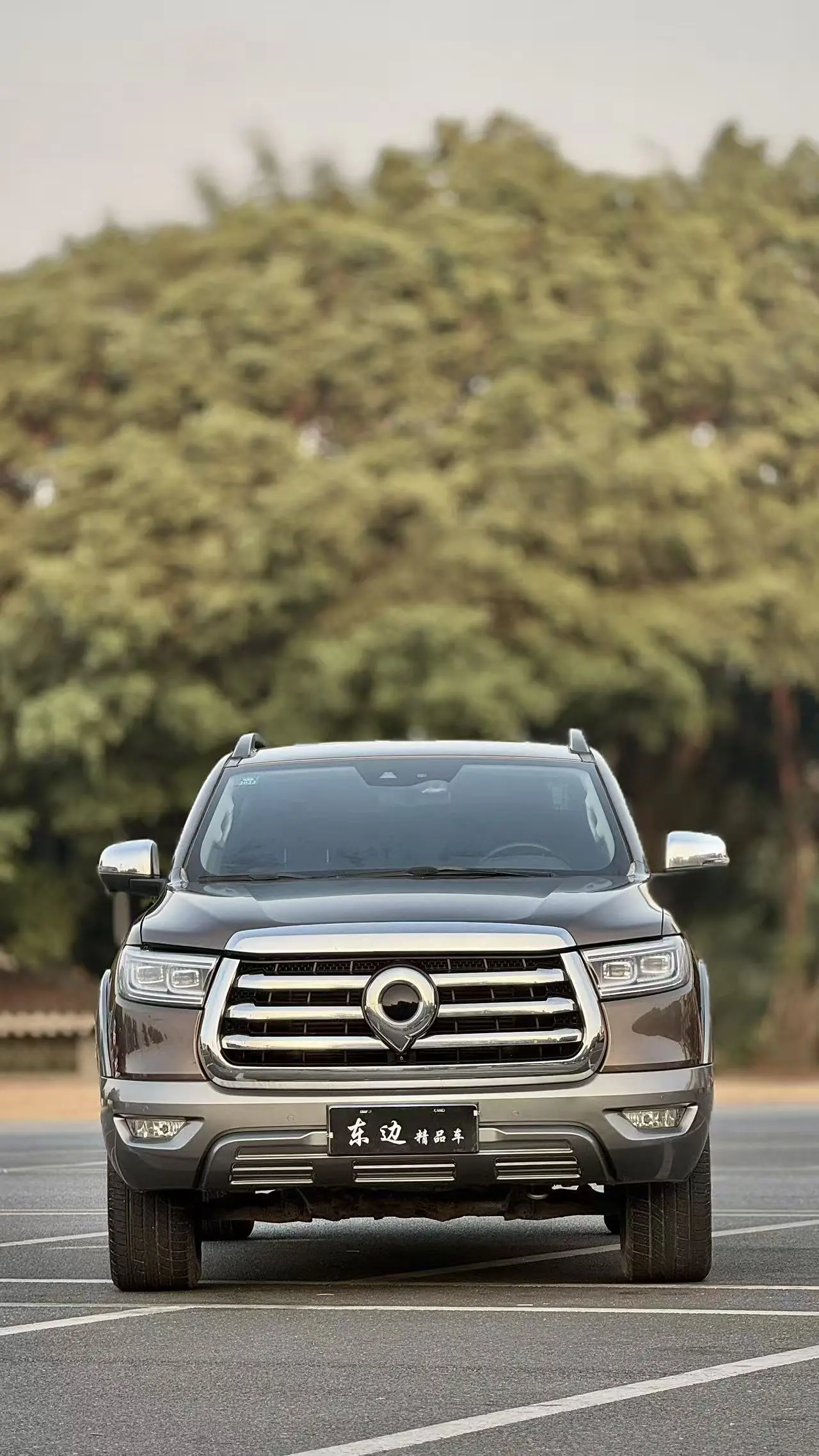 Great Wall Gun  из Китая