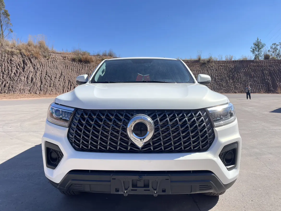 Great Wall Gun  из Китая